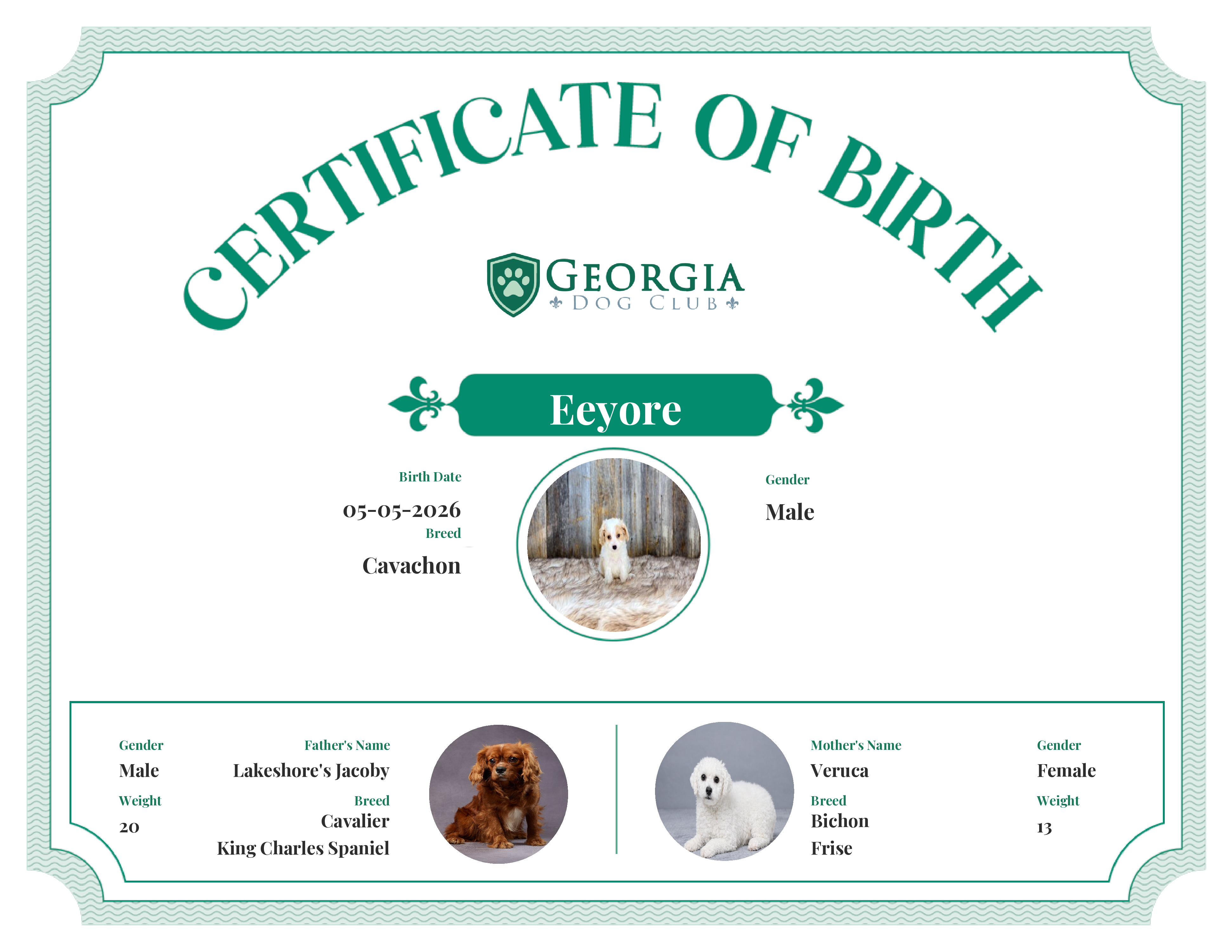 Eeyore's Birth Certificate