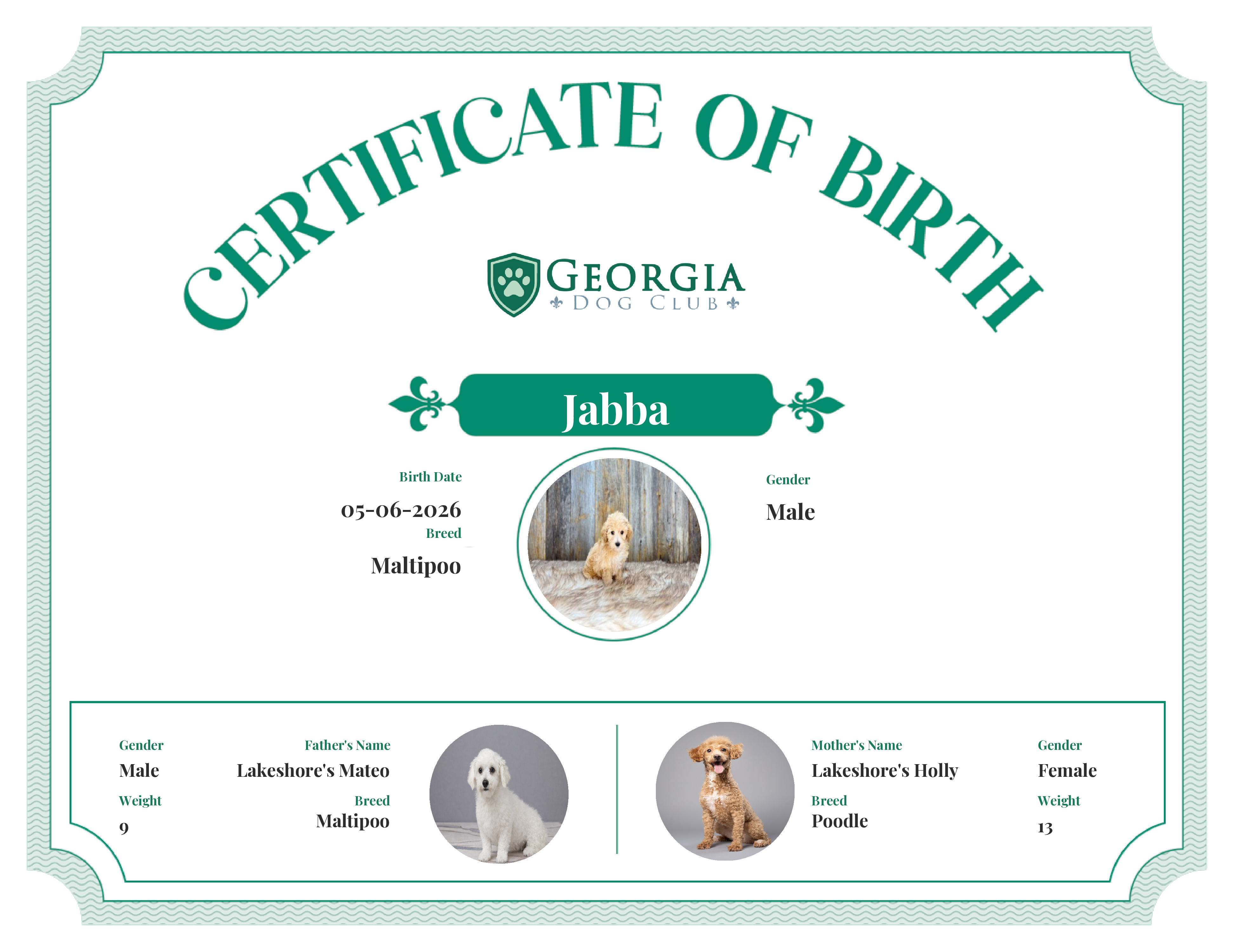 Jabba's Birth Certificate