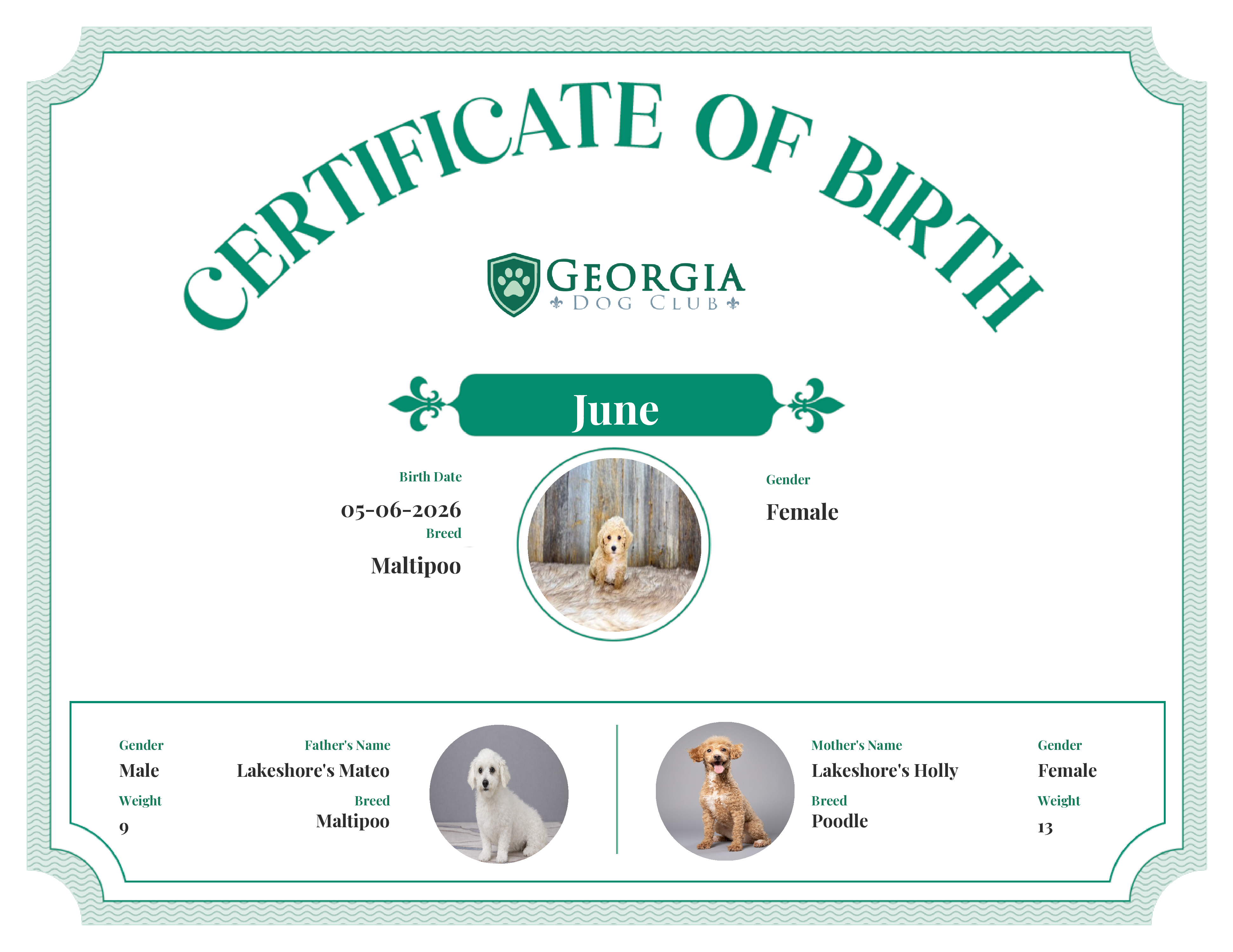 June's Birth Certificate