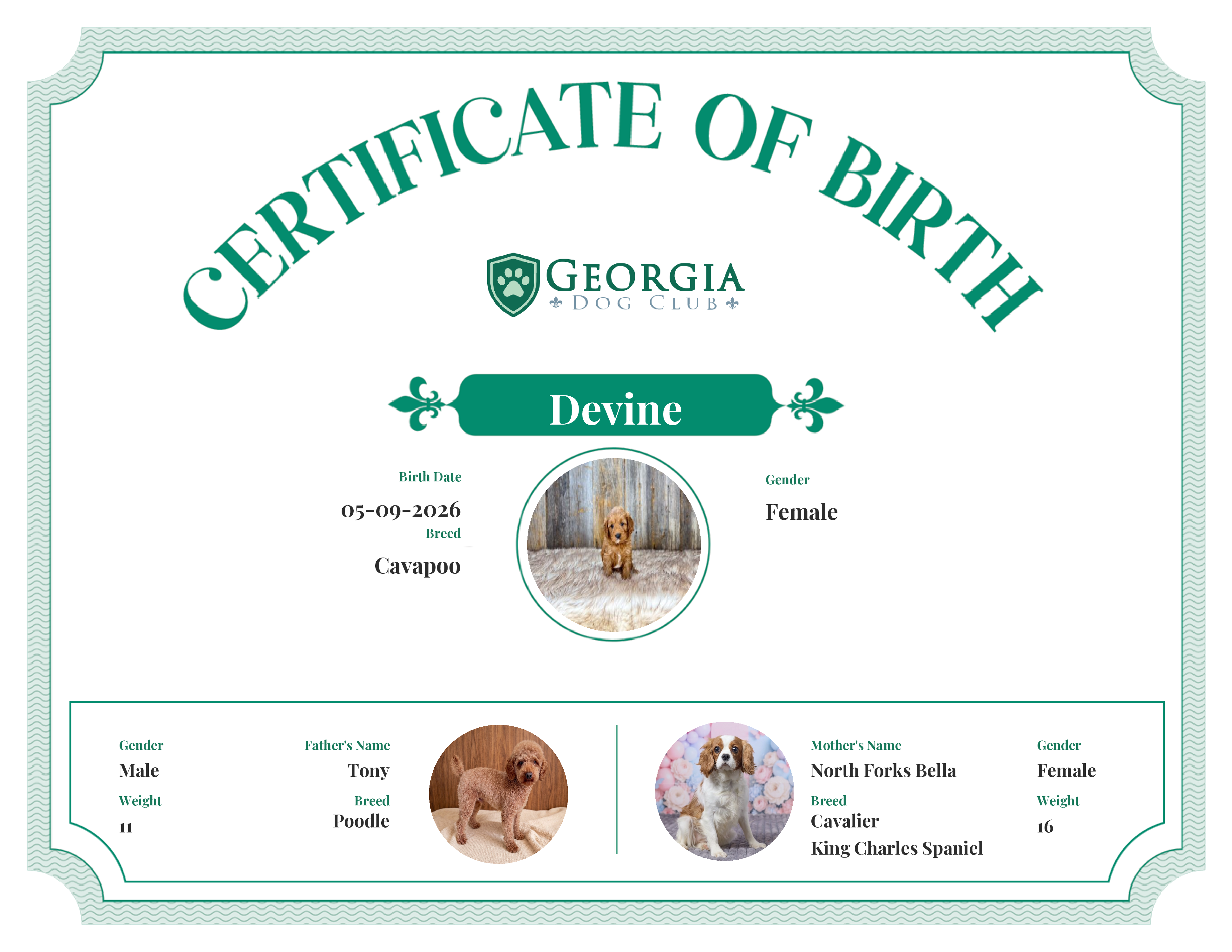 Devine's Birth Certificate