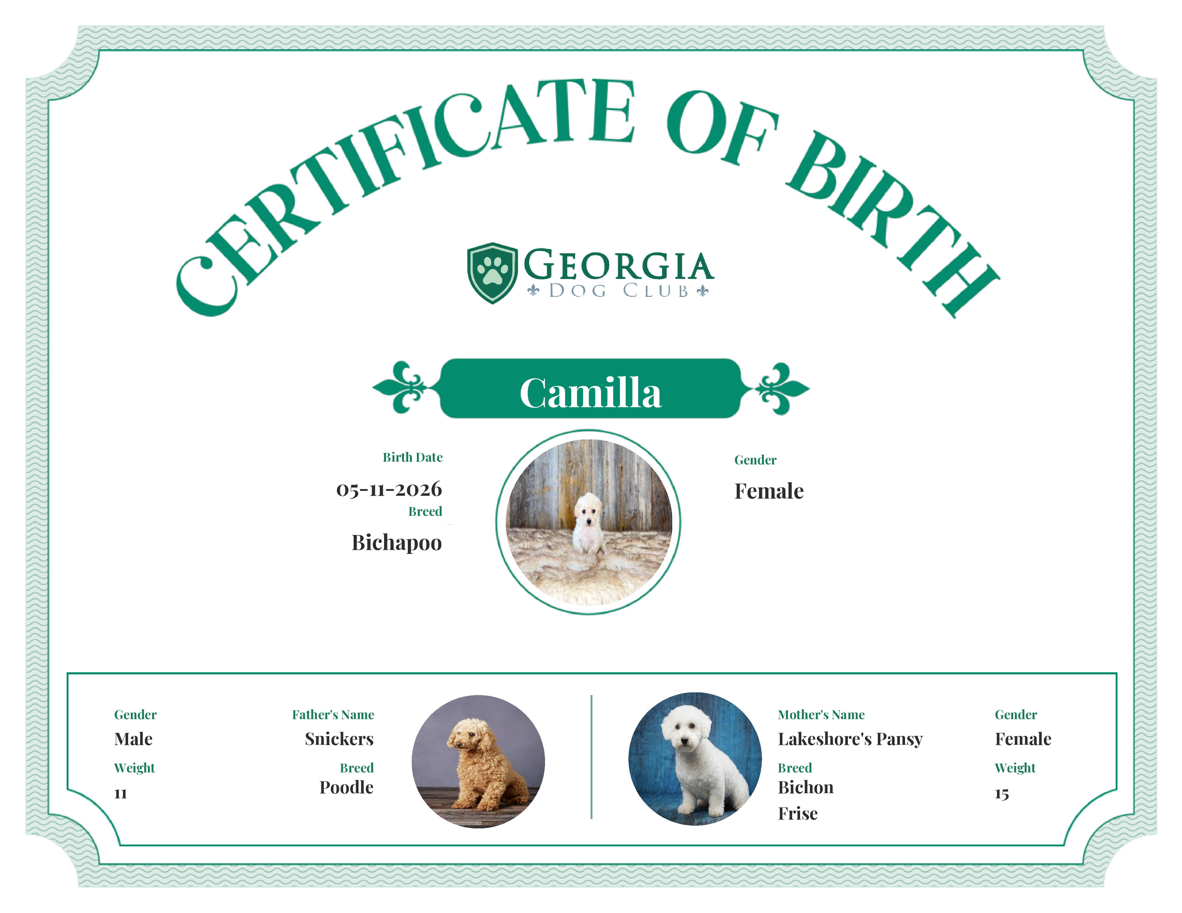 Camilla's Birth Certificate