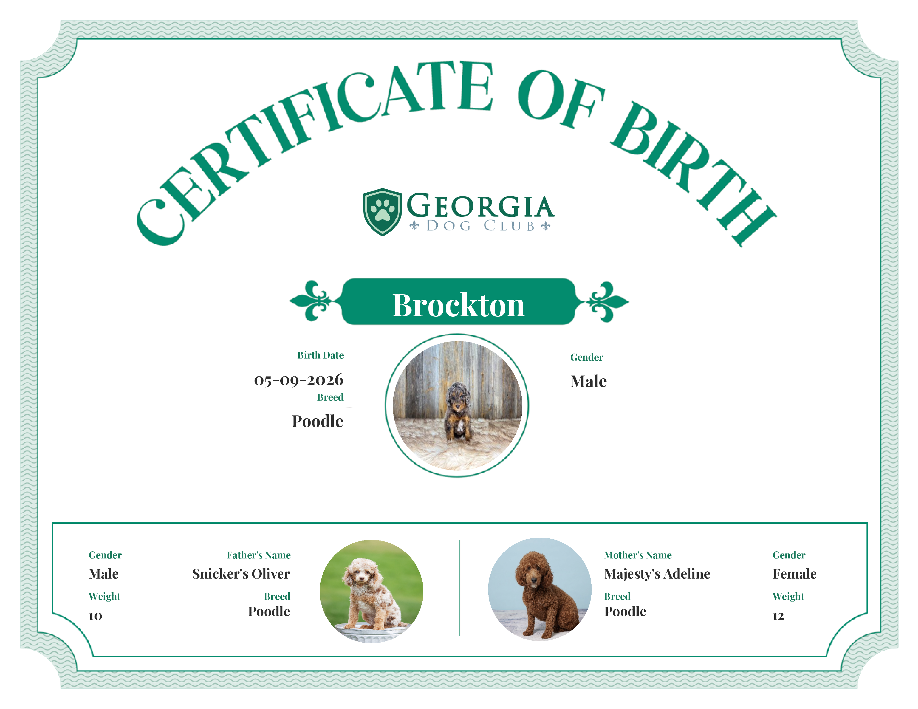 Brockton's Birth Certificate