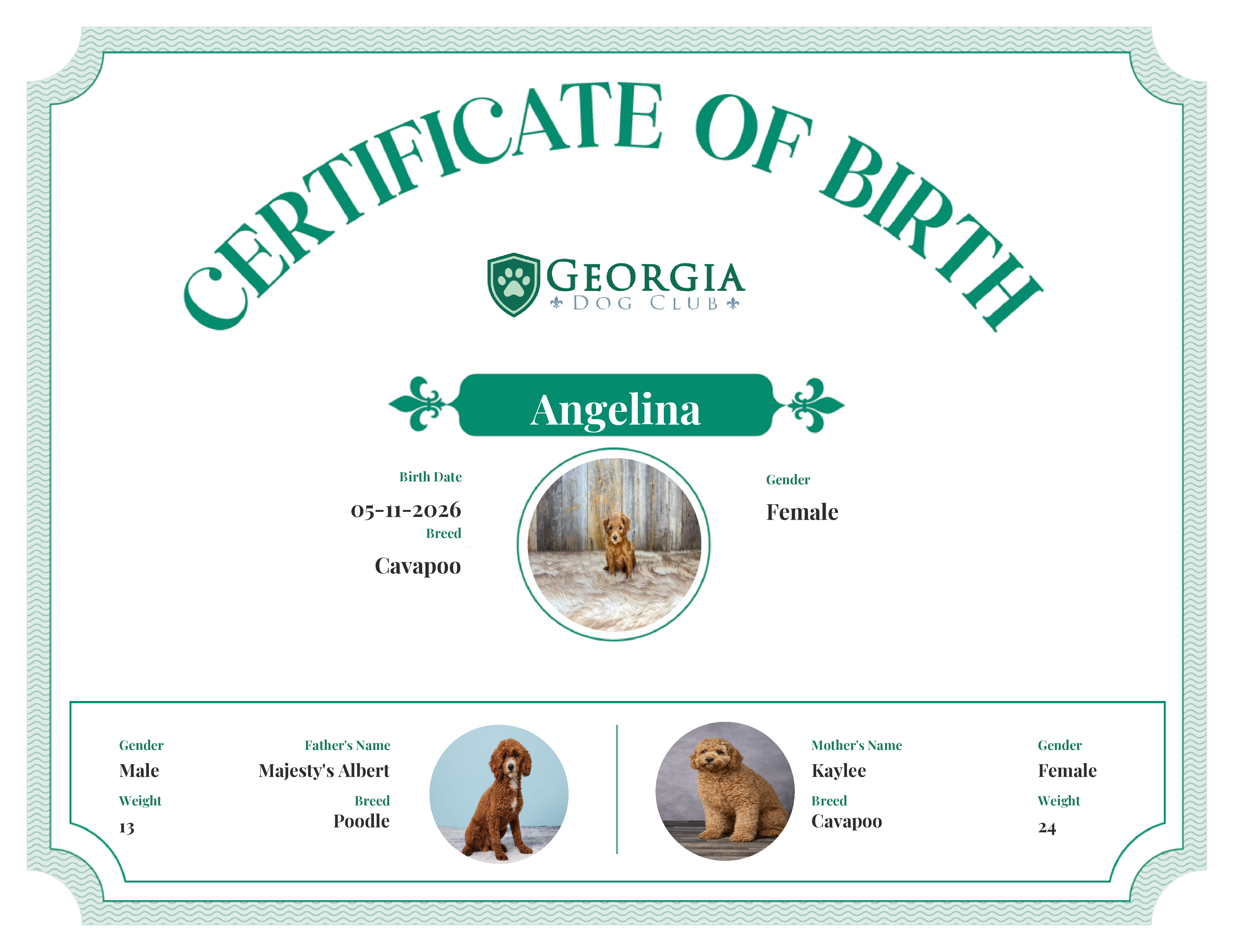 Angelina's Birth Certificate