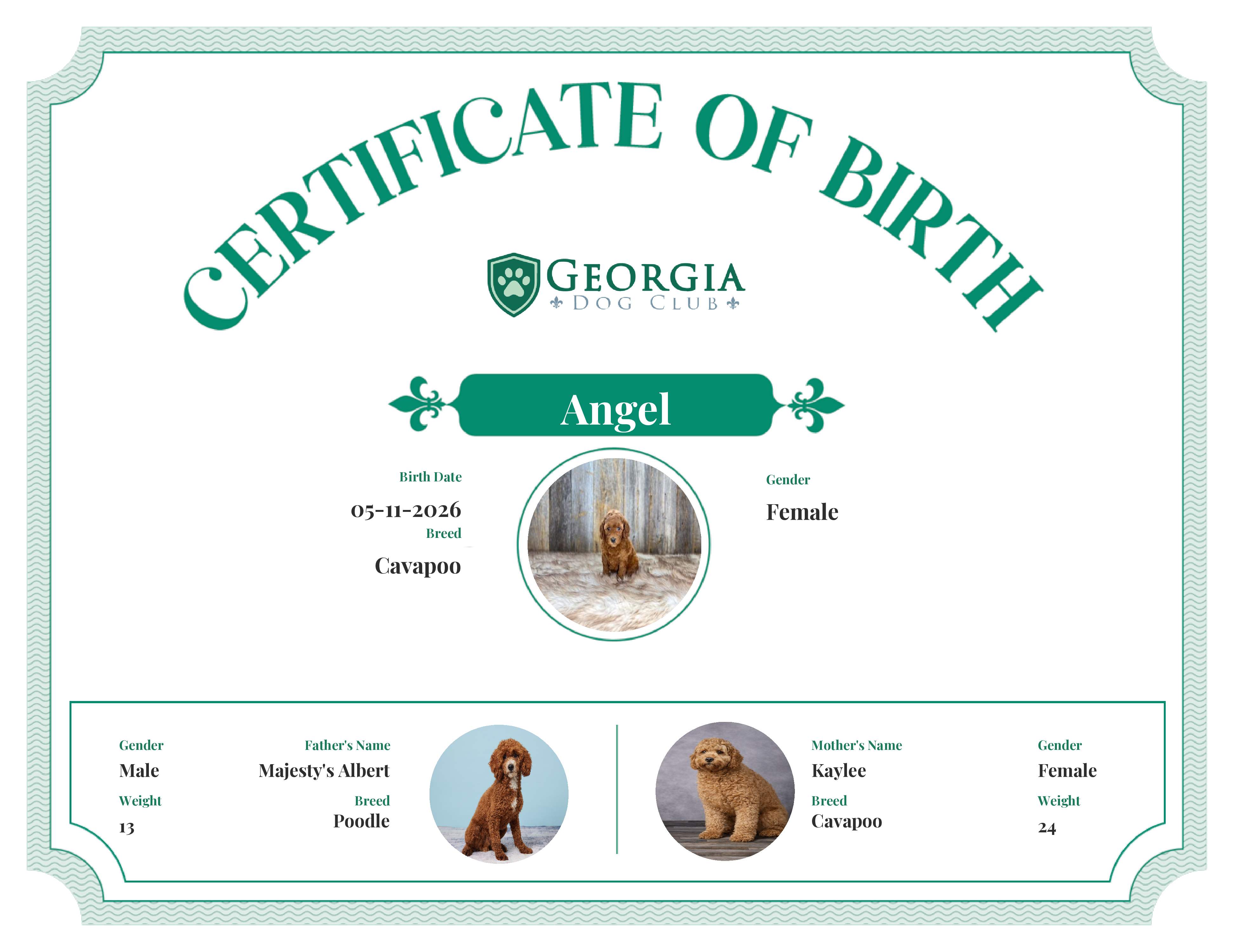 Angel's Birth Certificate