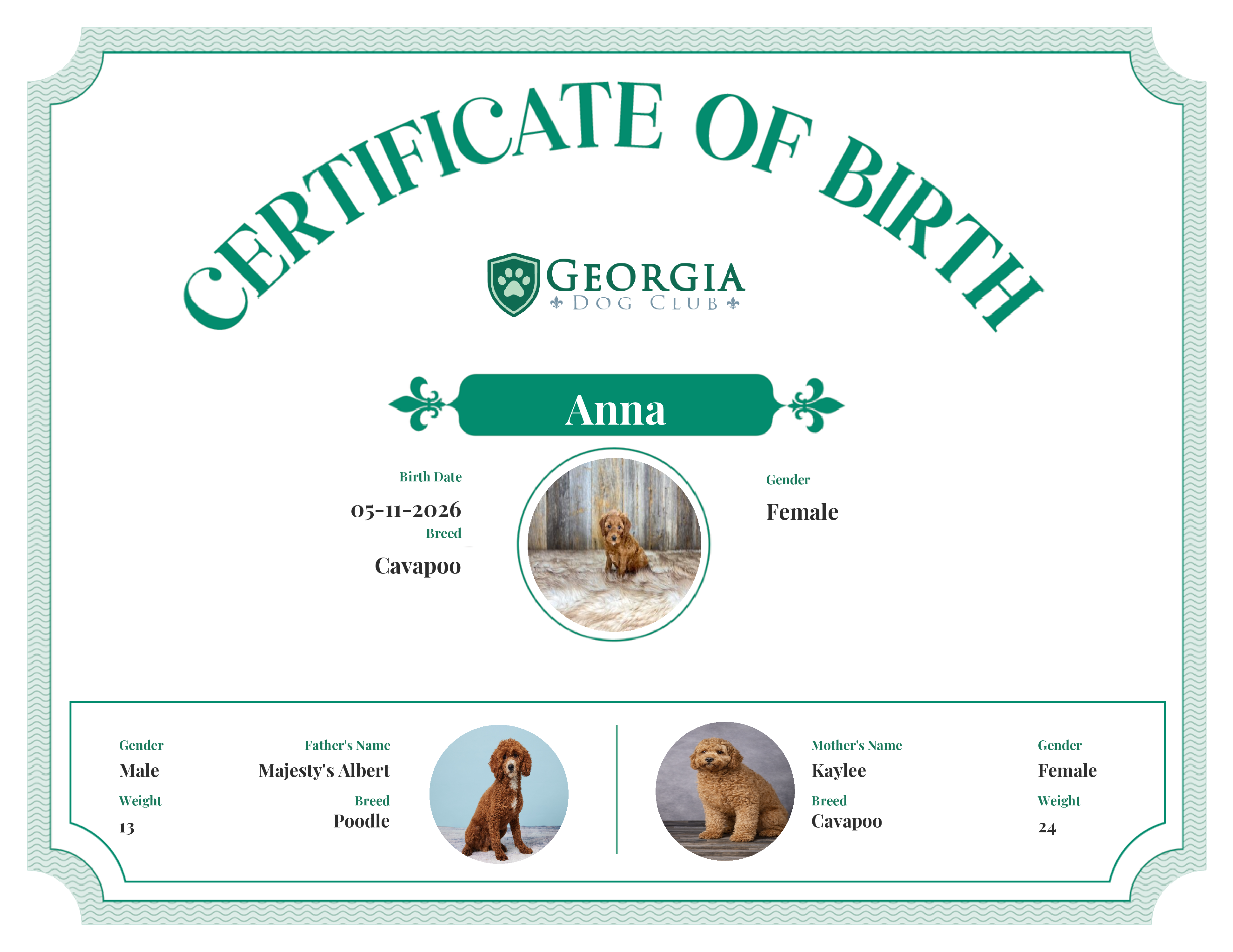 Anna's Birth Certificate