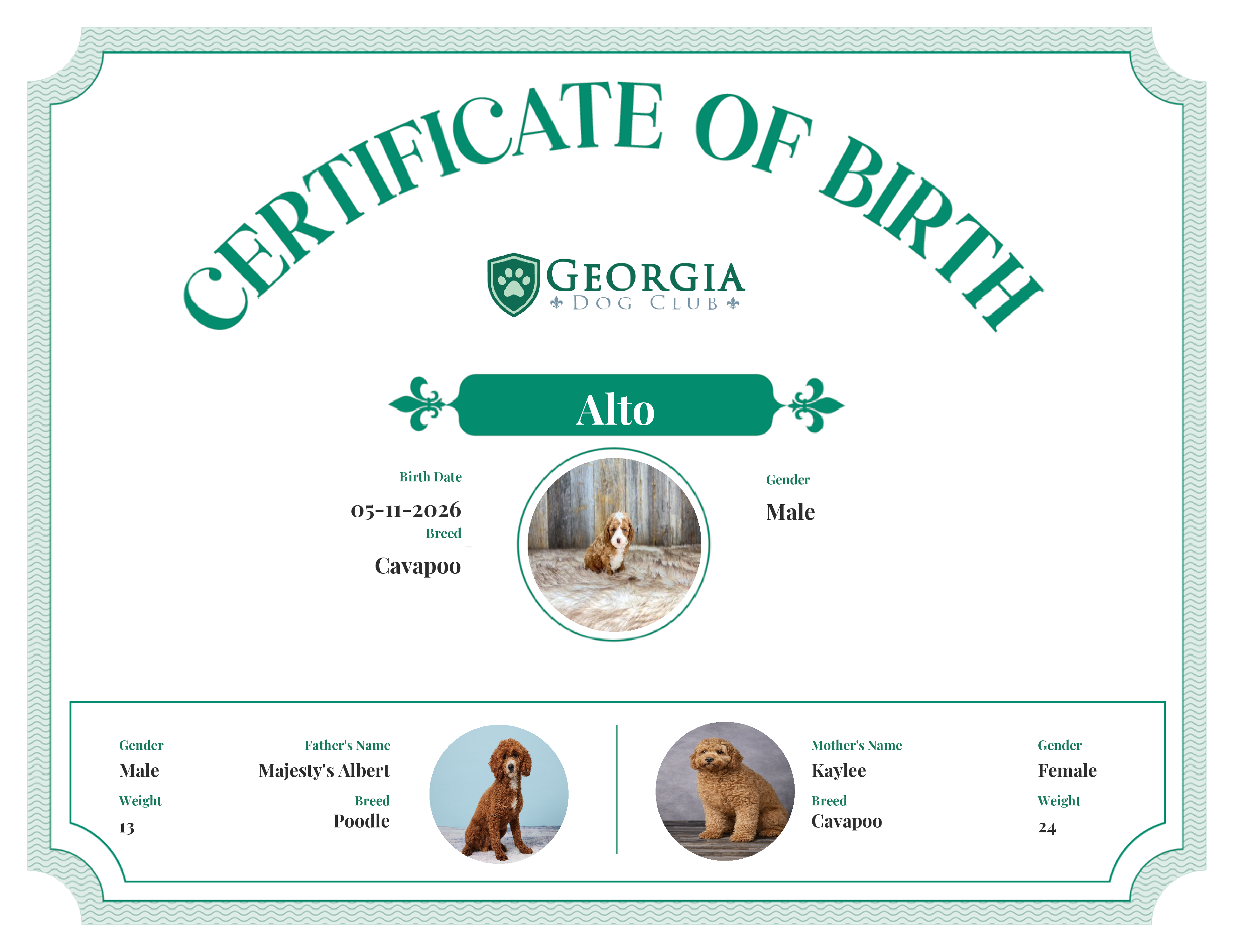 Alto's Birth Certificate