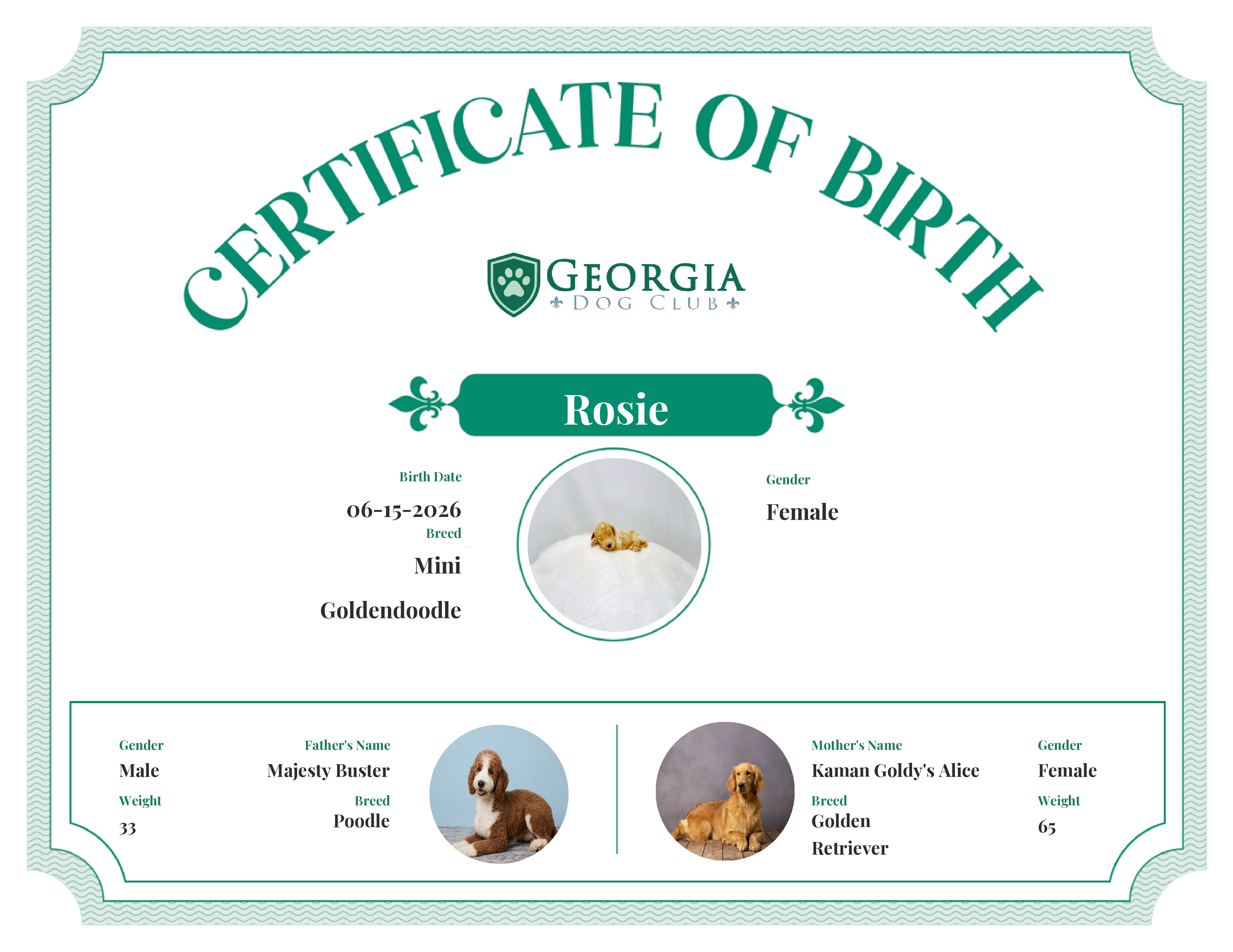 Rosie's Birth Certificate