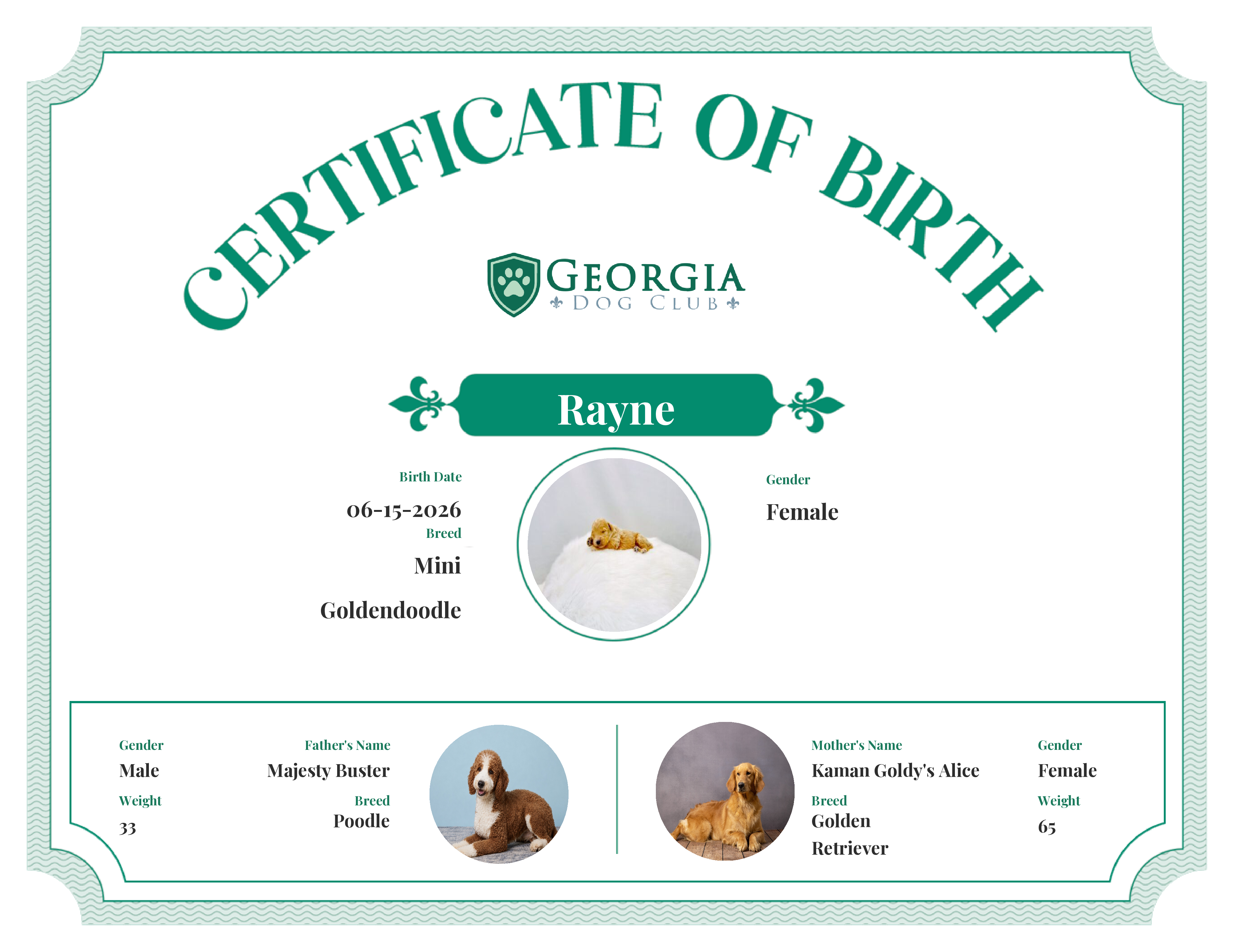 Rayne's Birth Certificate