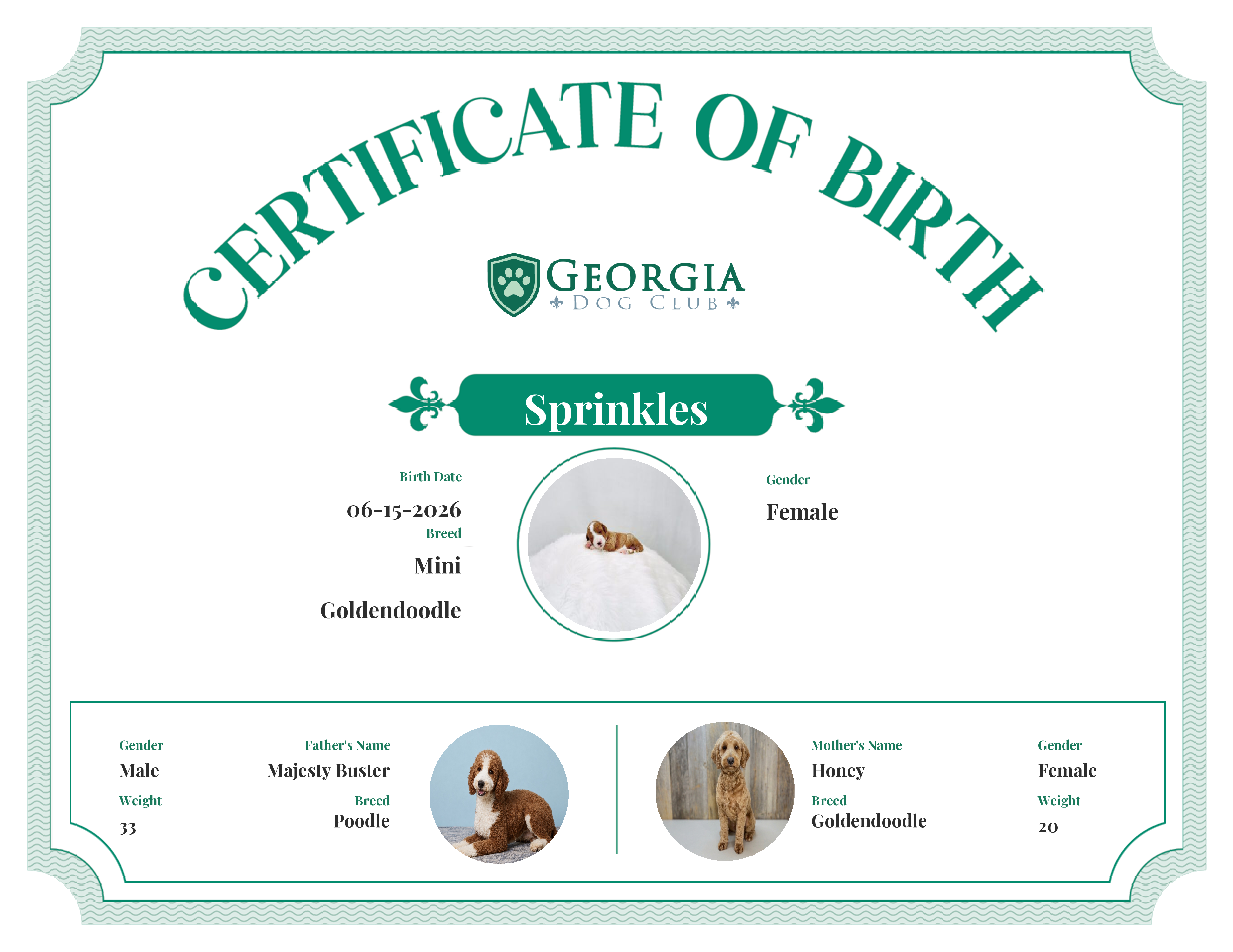 Sprinkles's Birth Certificate