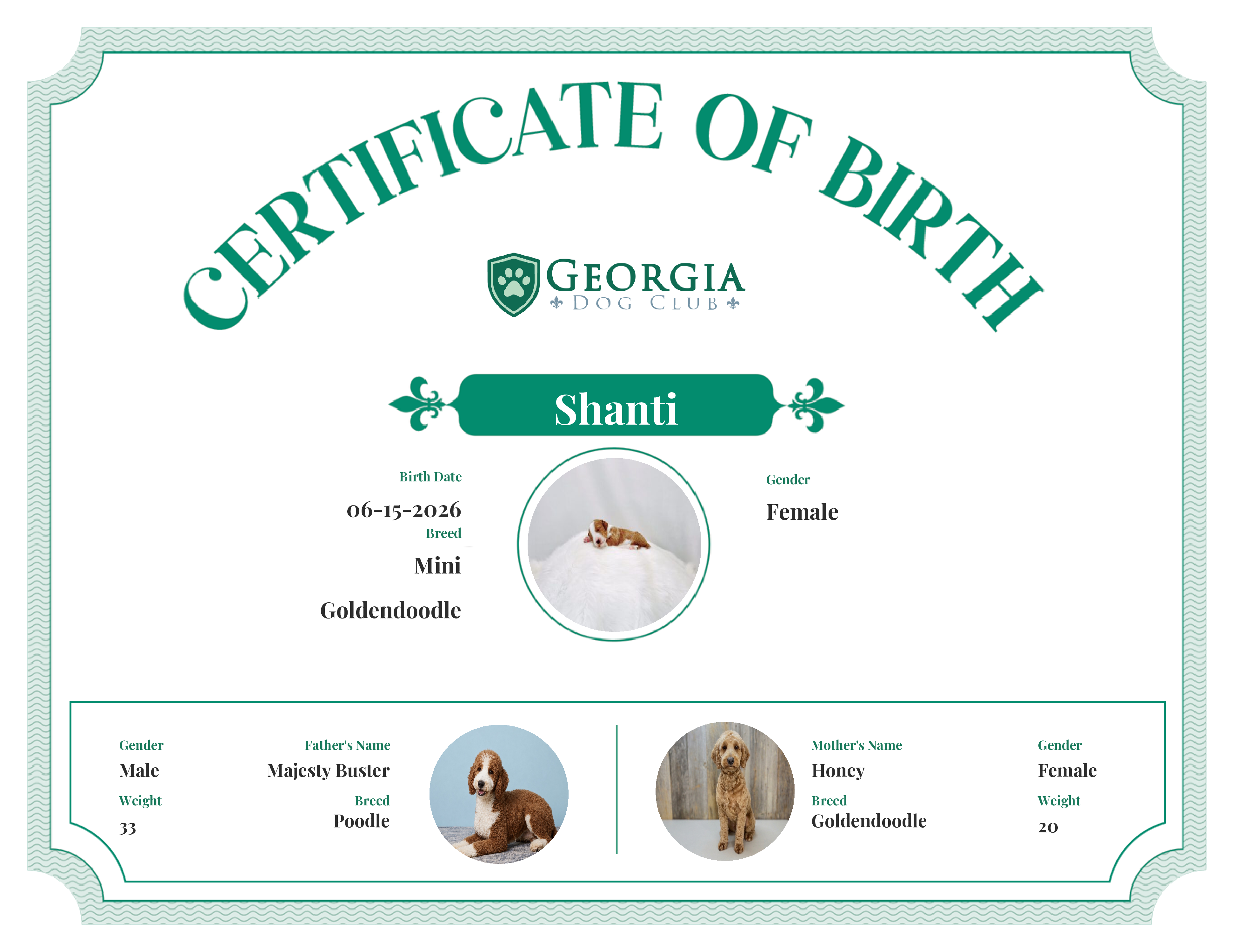 Shanti's Birth Certificate