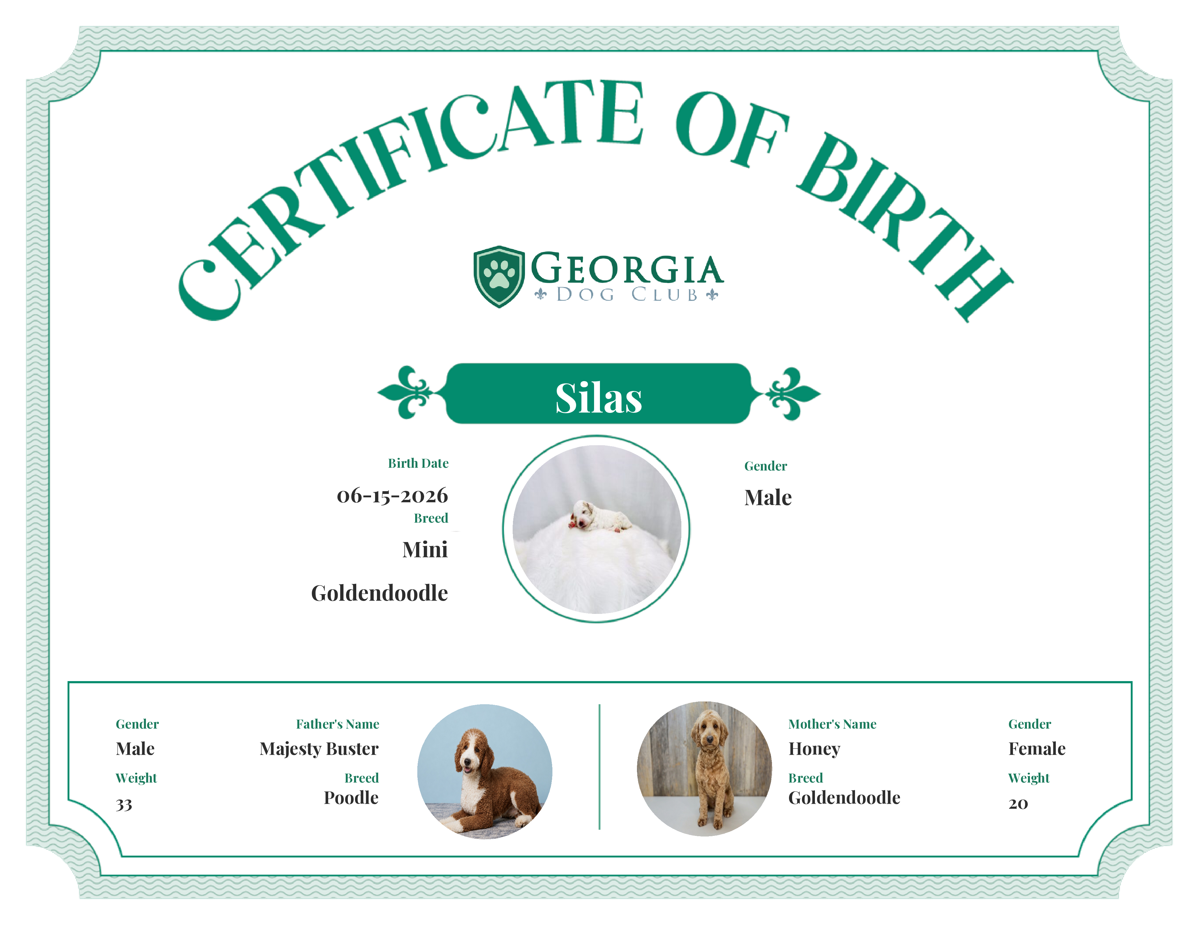 Silas's Birth Certificate