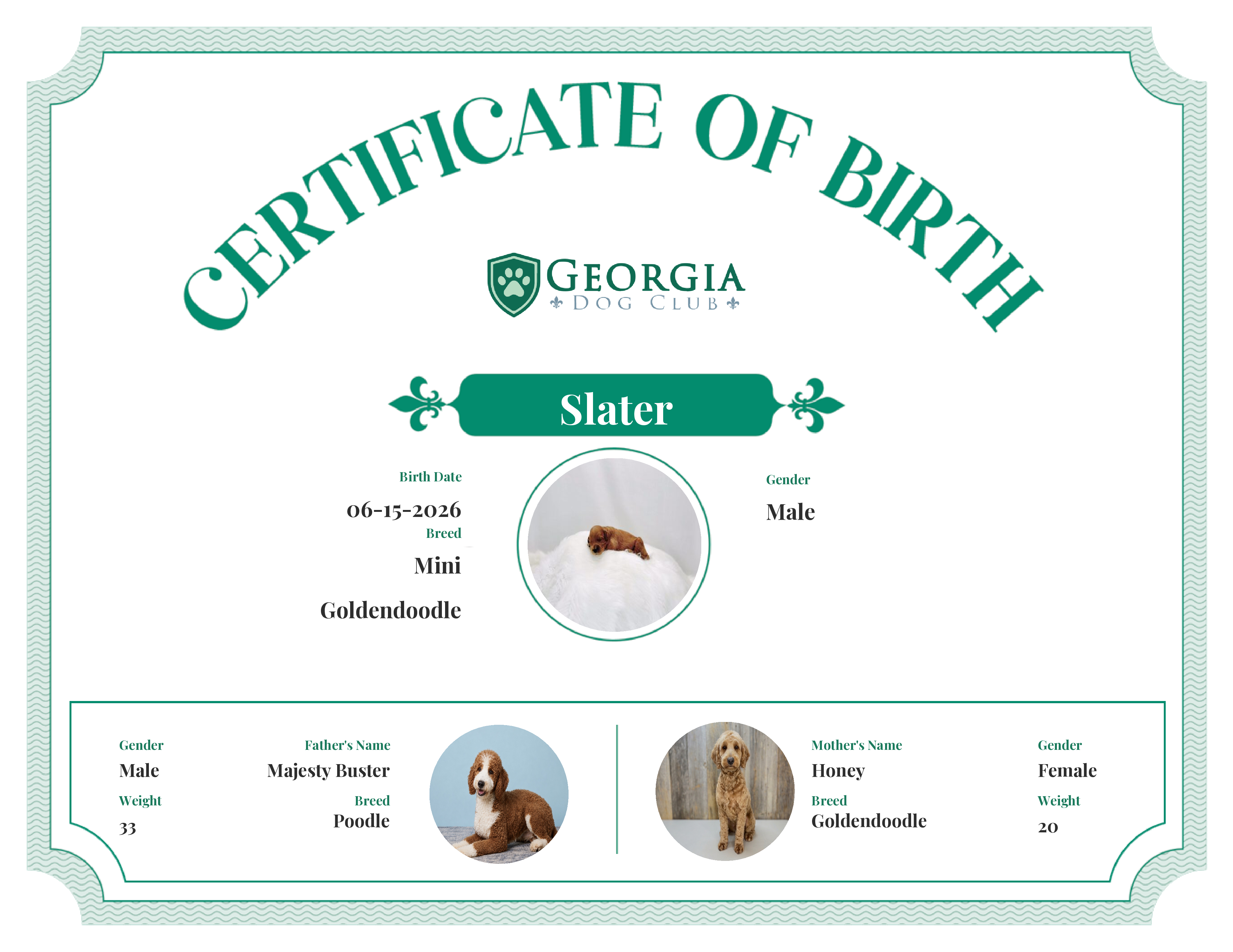 Slater's Birth Certificate