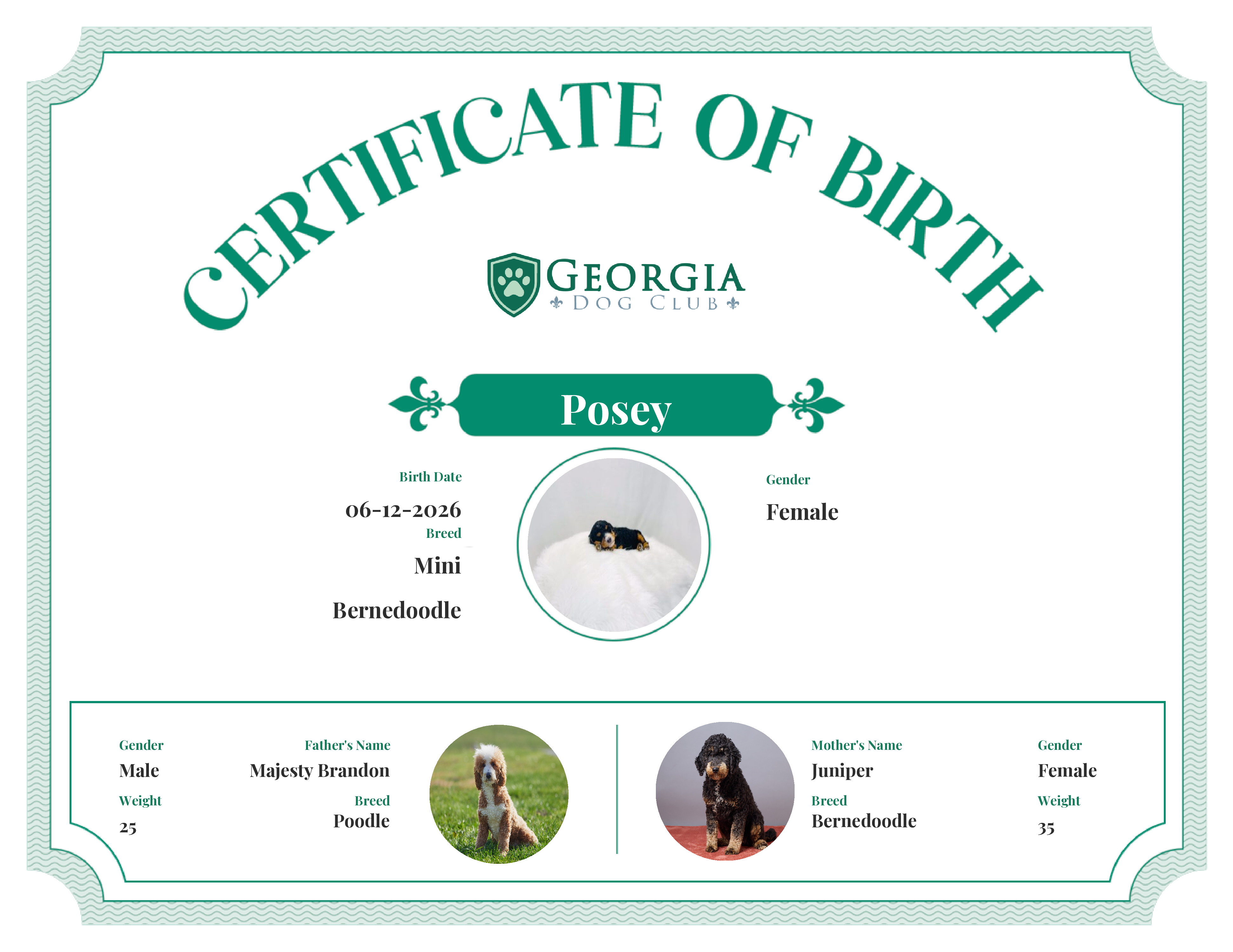 Posey's Birth Certificate