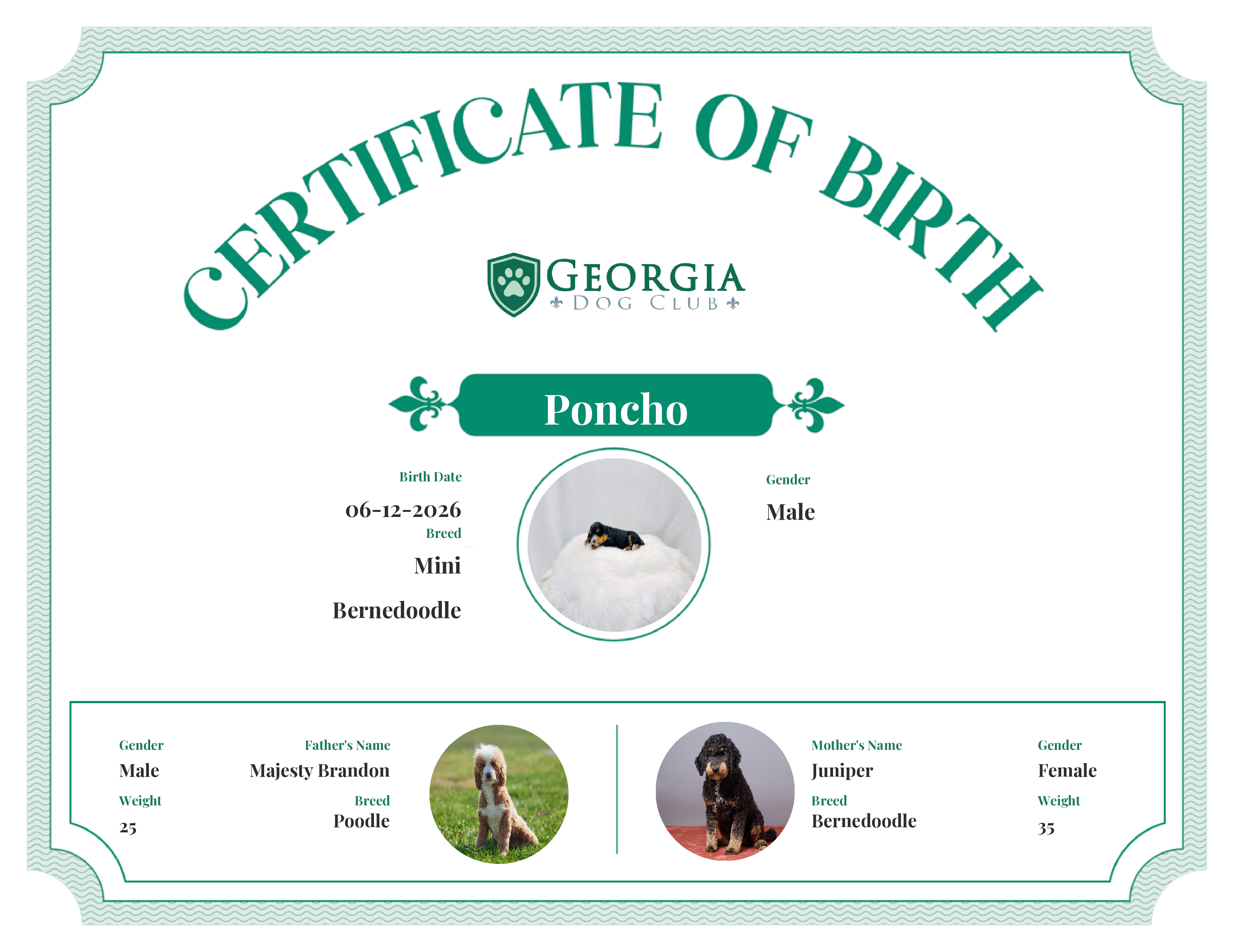 Poncho's Birth Certificate