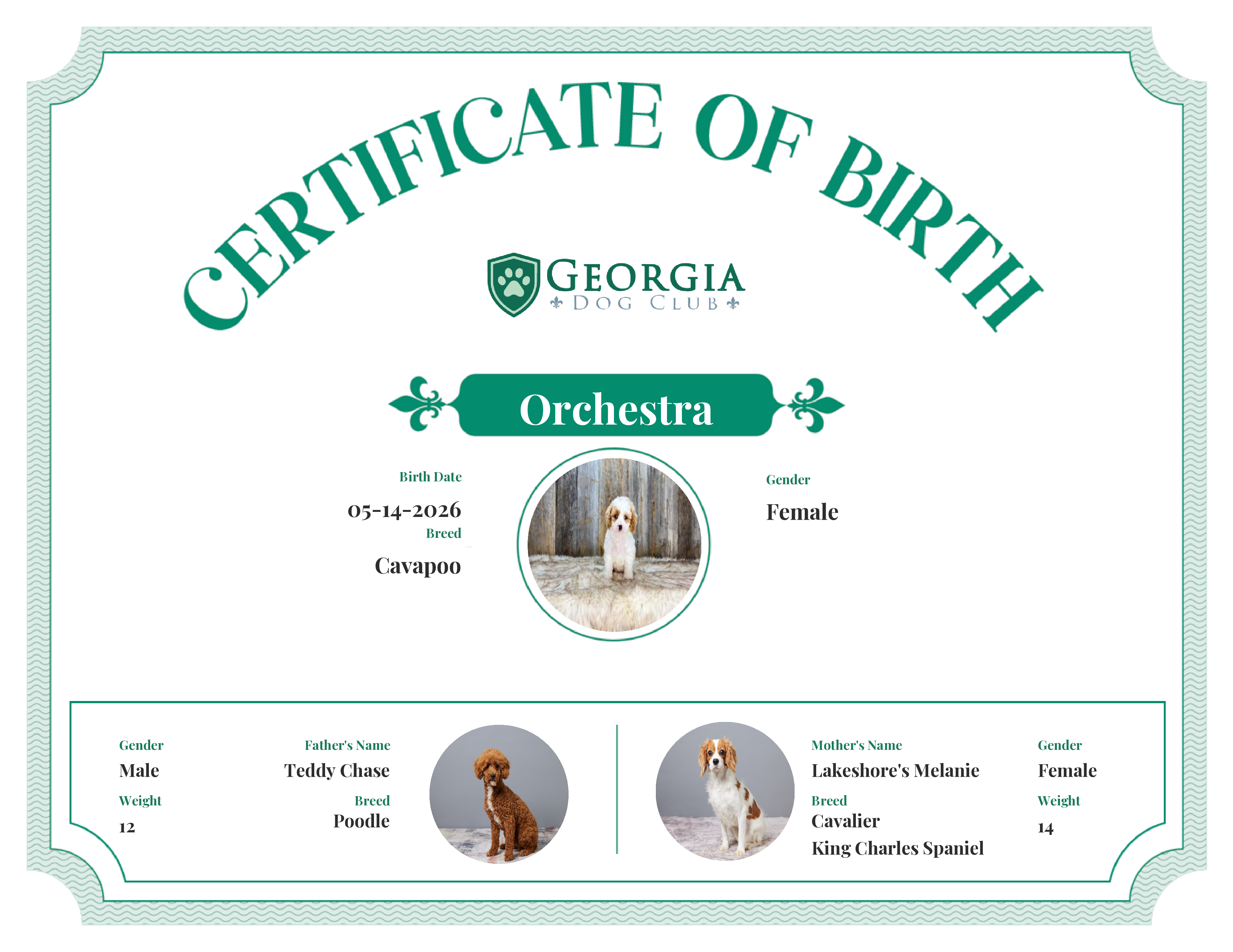 Orchestra's Birth Certificate