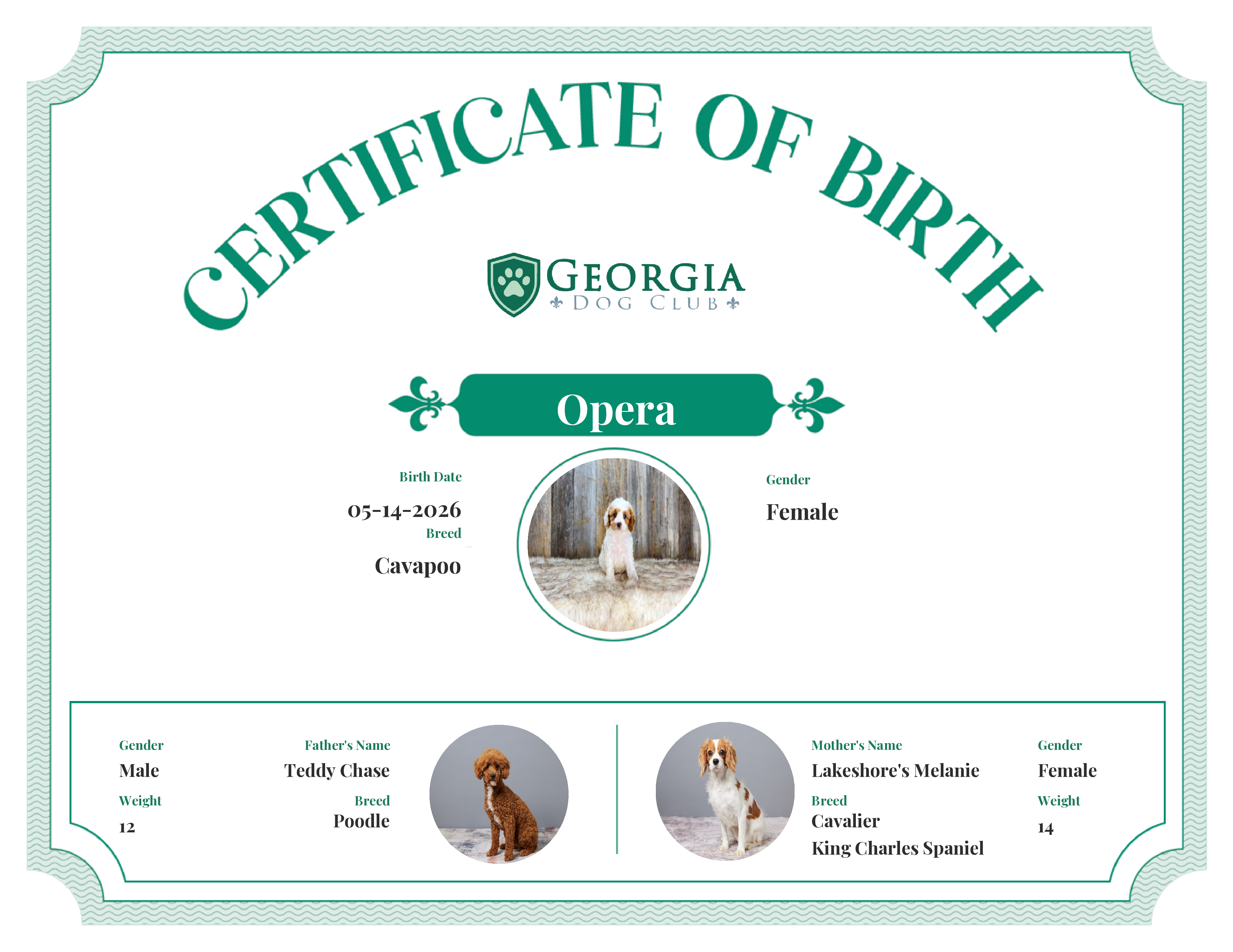 Opera's Birth Certificate