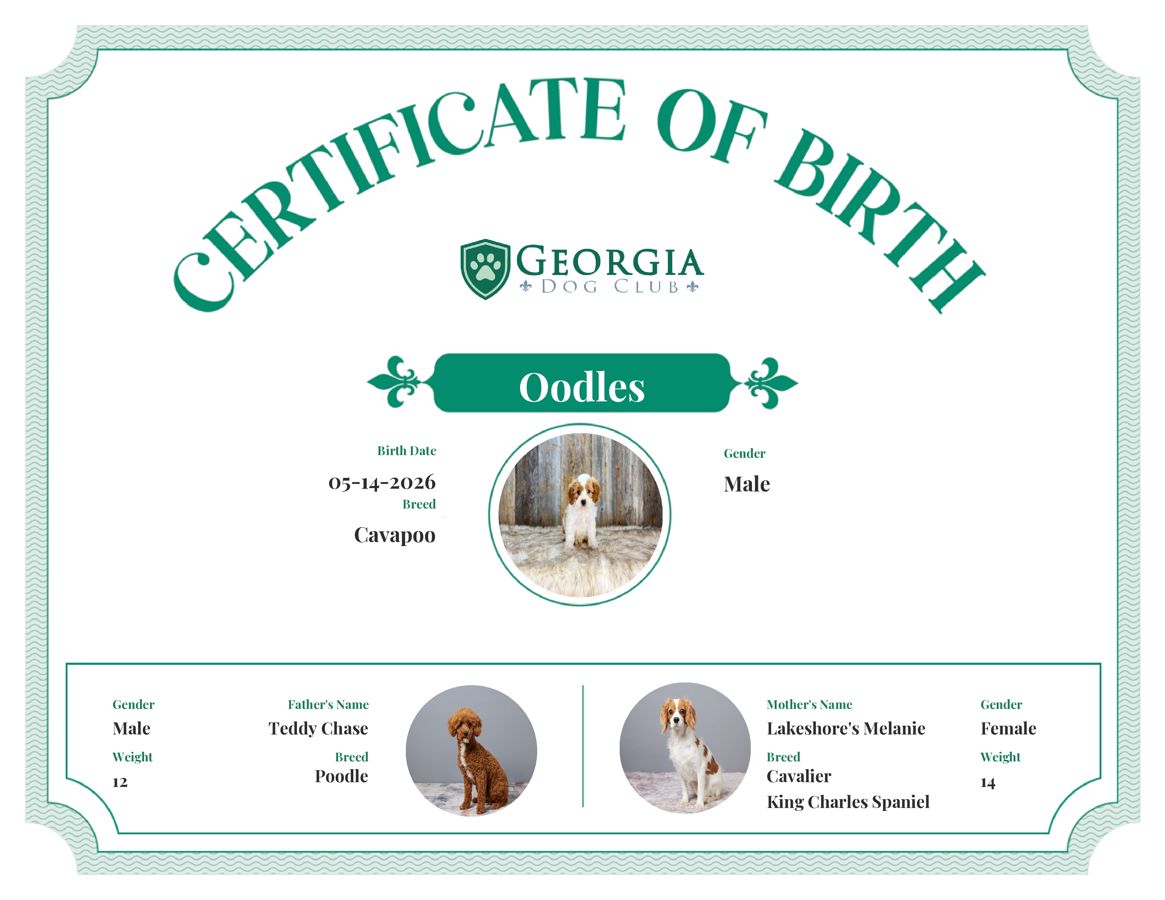 Oodles's Birth Certificate