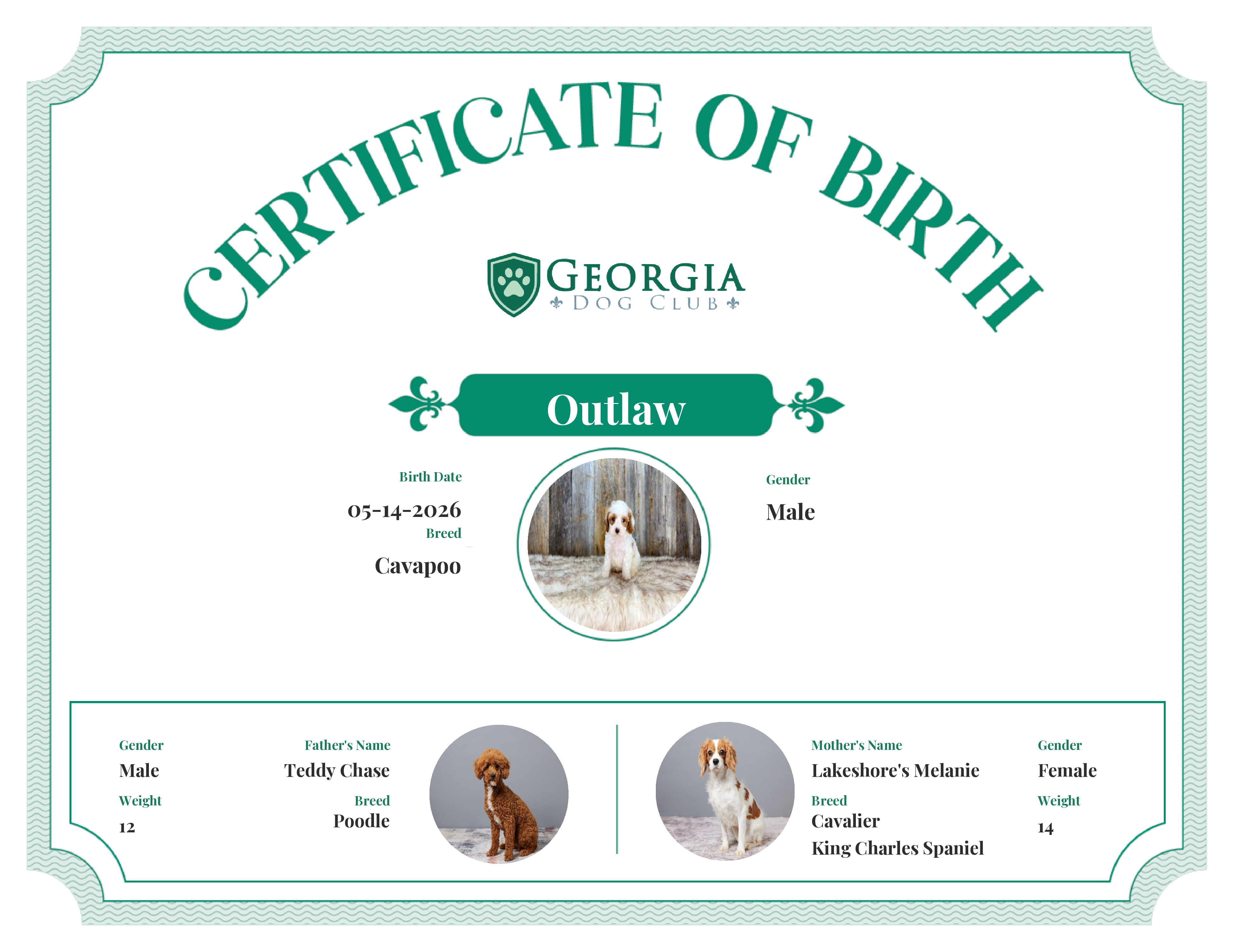 Outlaw's Birth Certificate