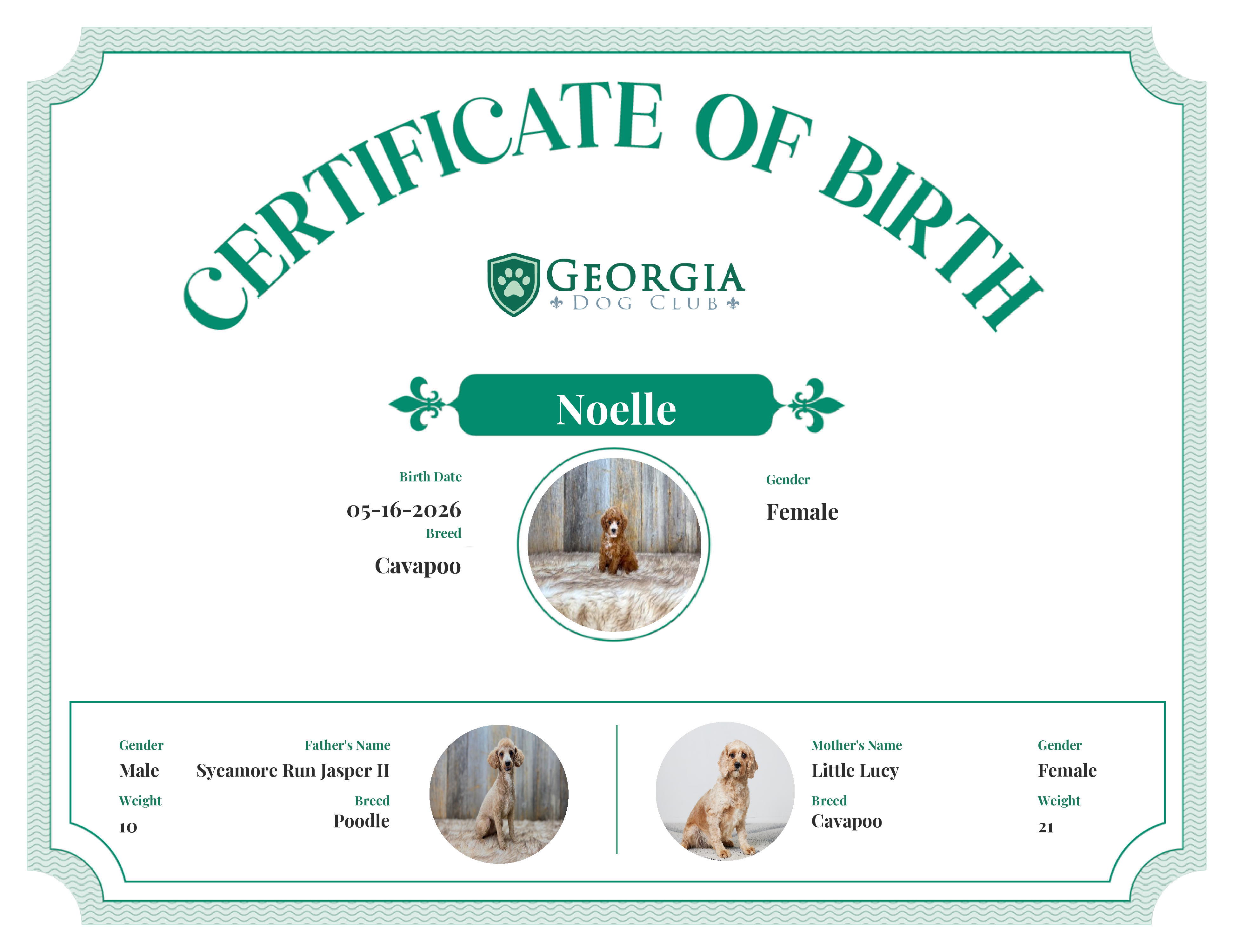 Noelle's Birth Certificate
