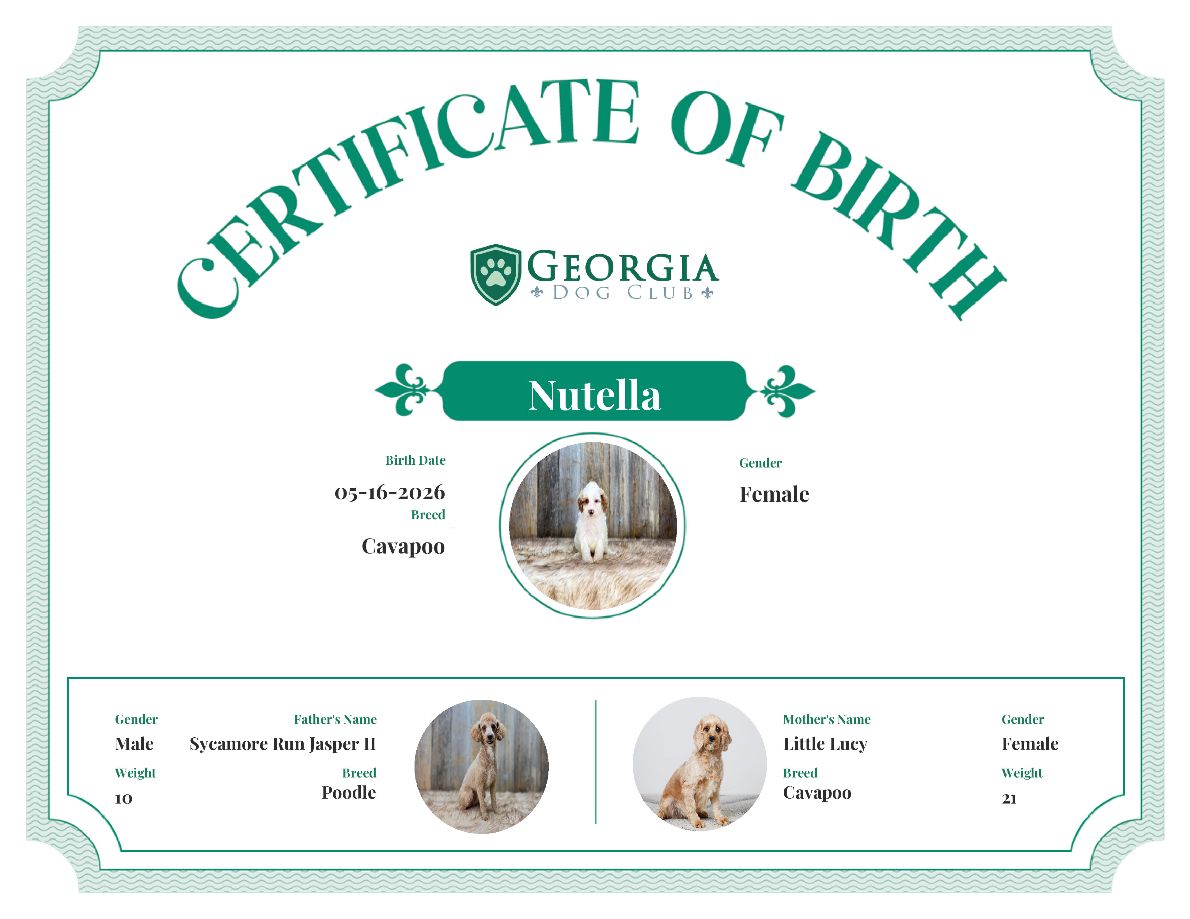 Nutella's Birth Certificate