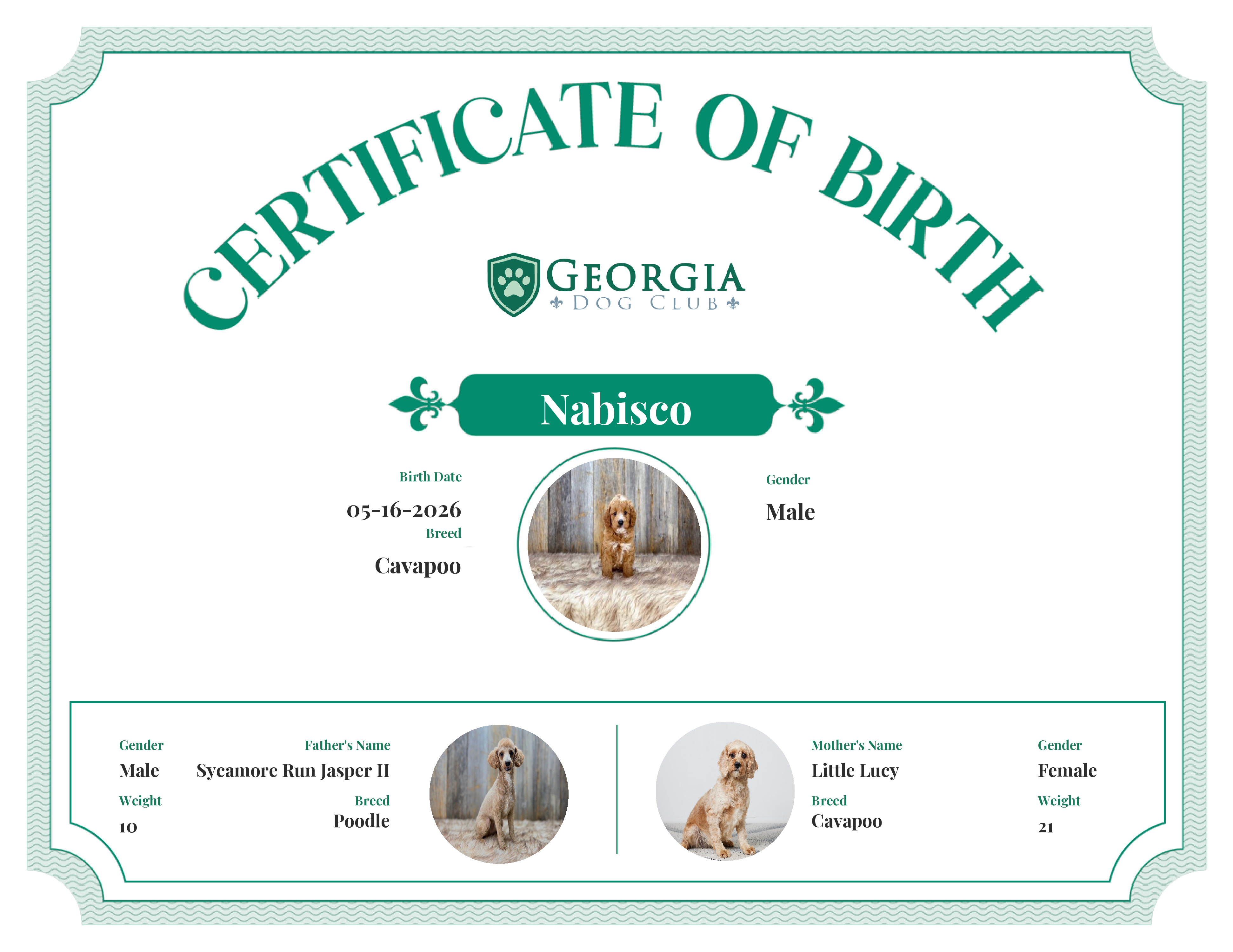 Nabisco's Birth Certificate