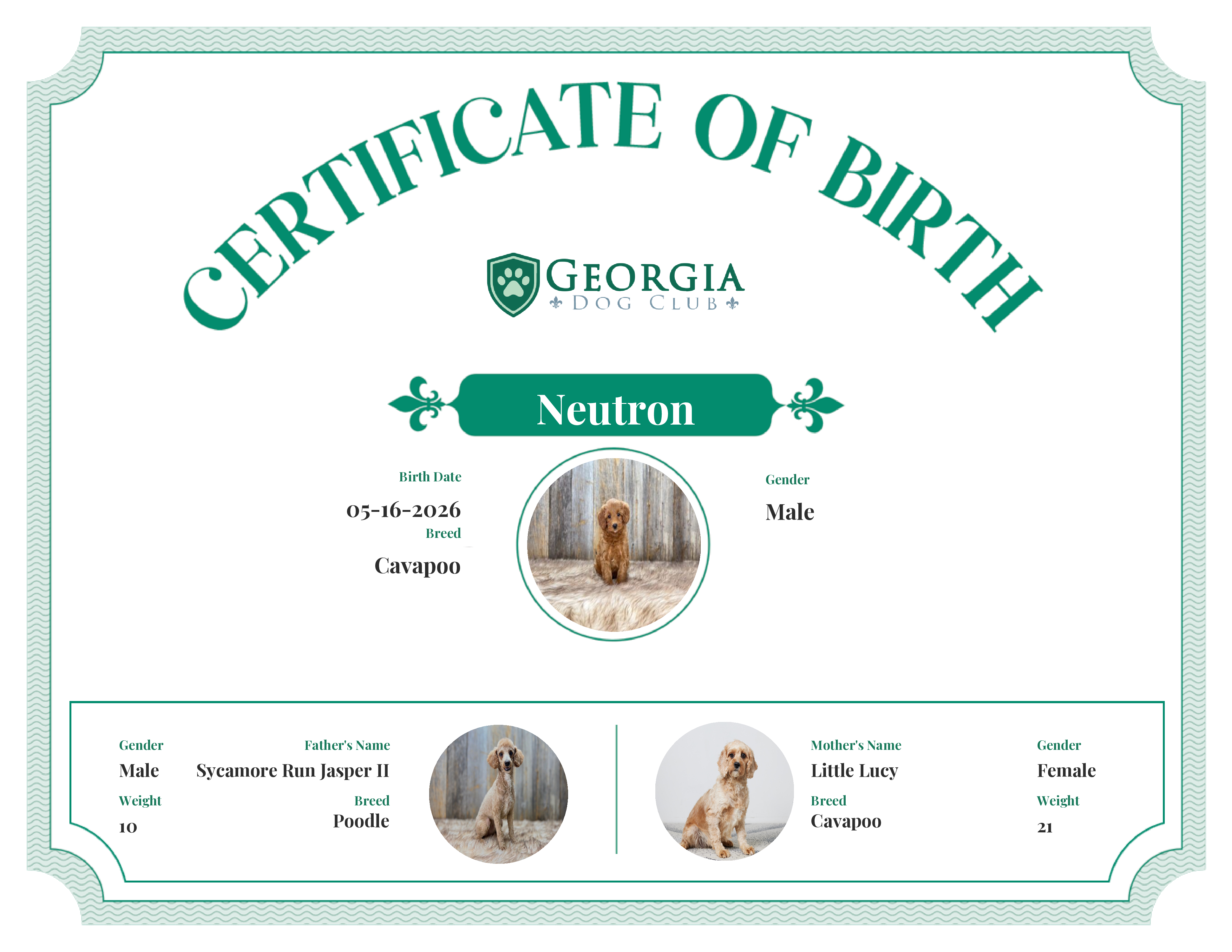 Neutron's Birth Certificate