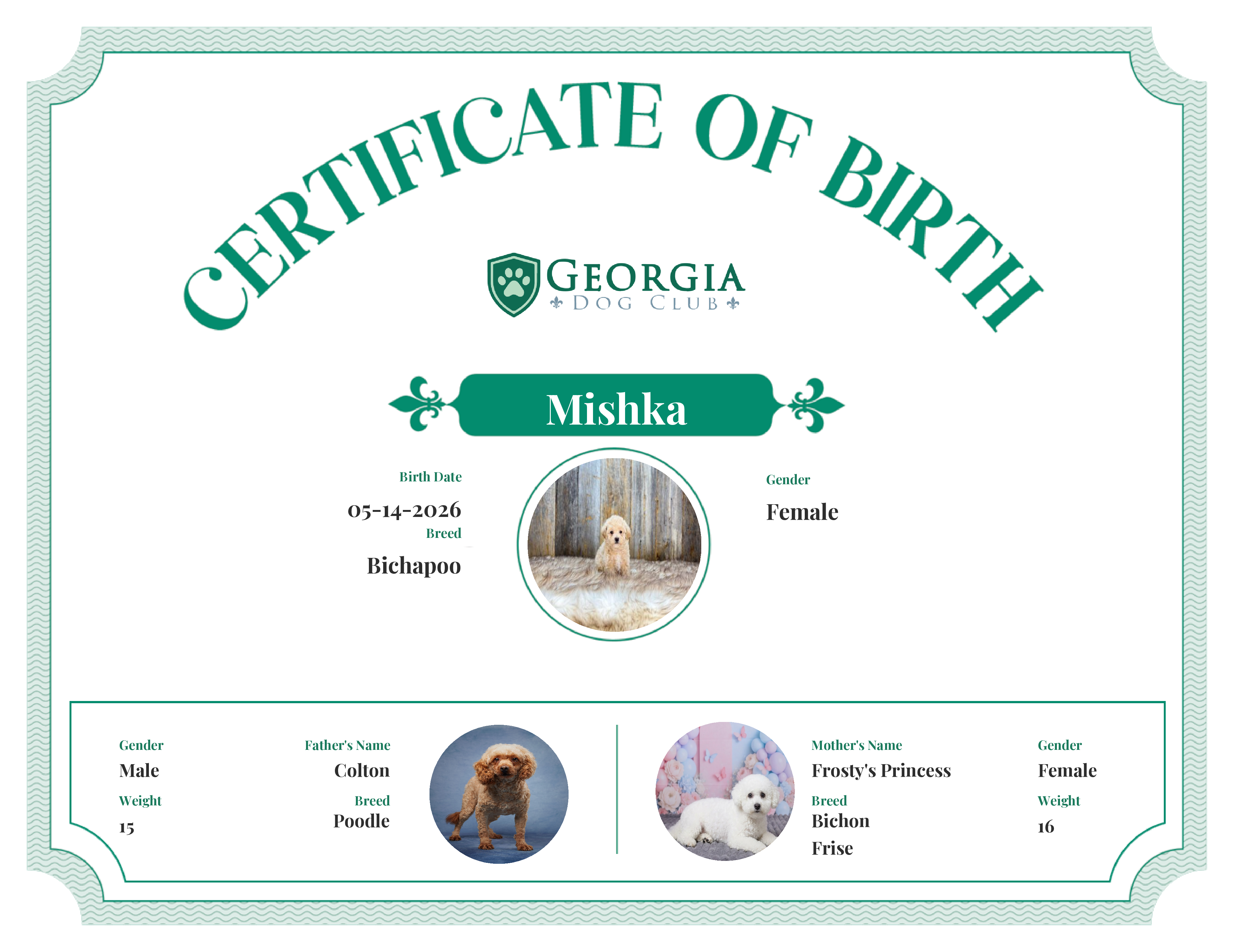 Mishka's Birth Certificate