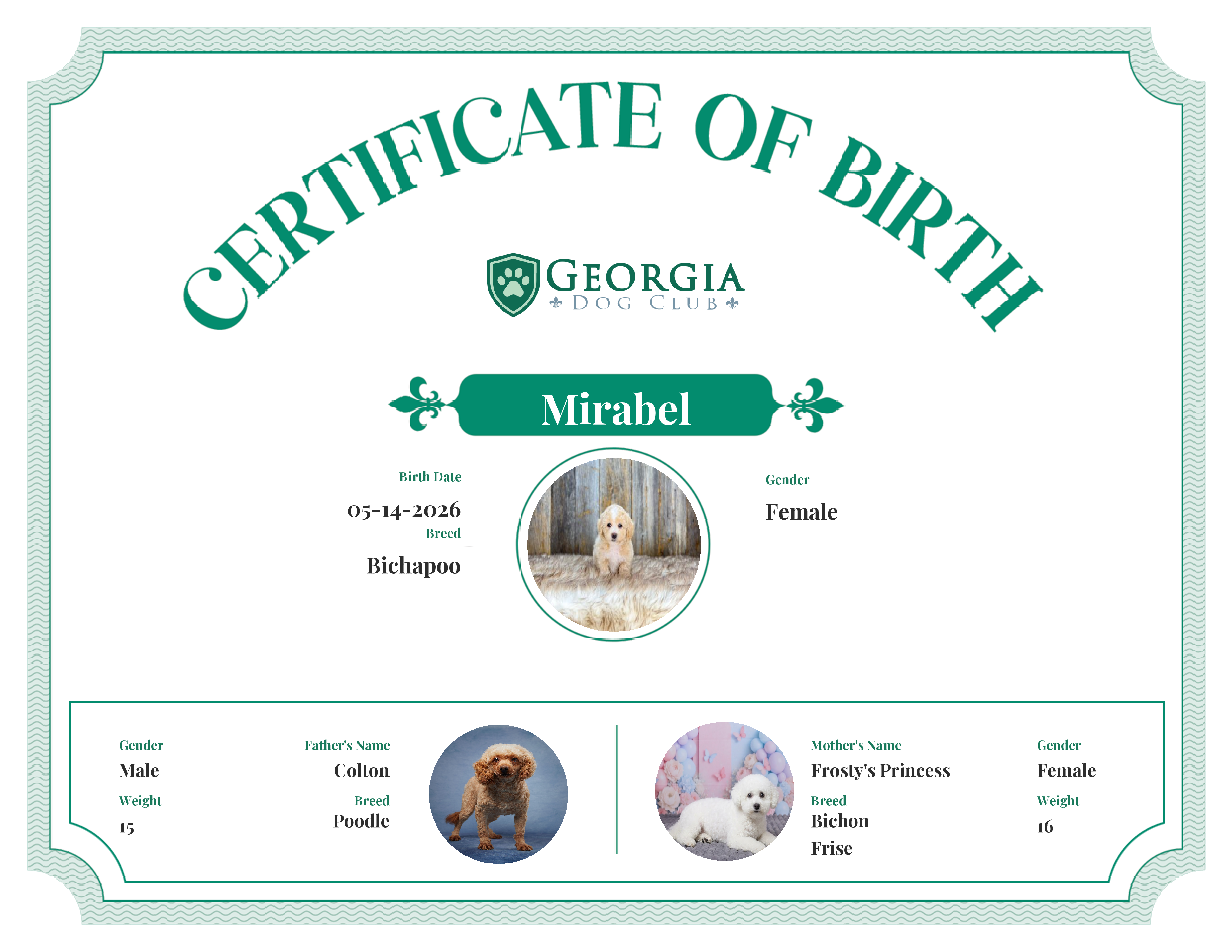 Mirabel's Birth Certificate