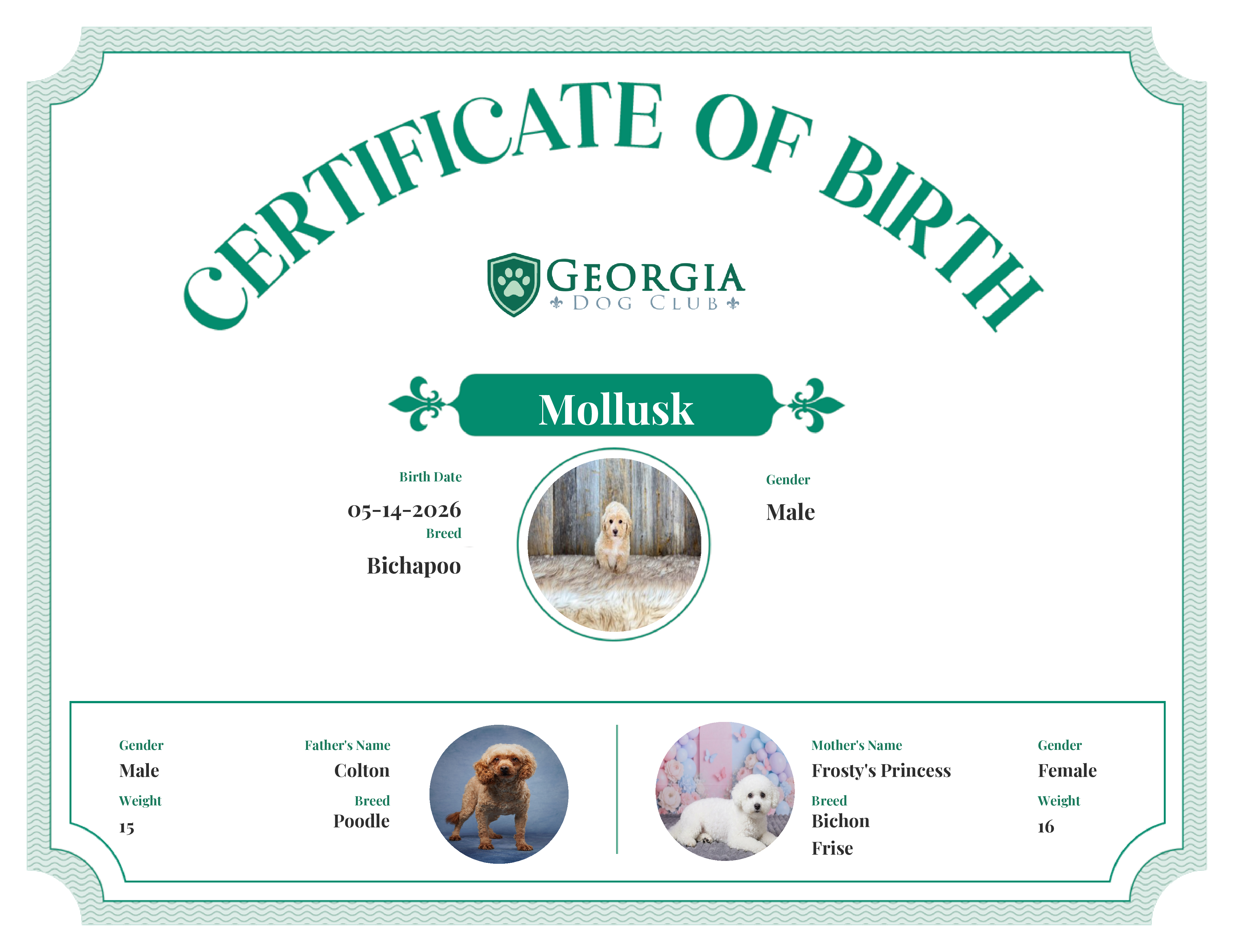 Mollusk's Birth Certificate