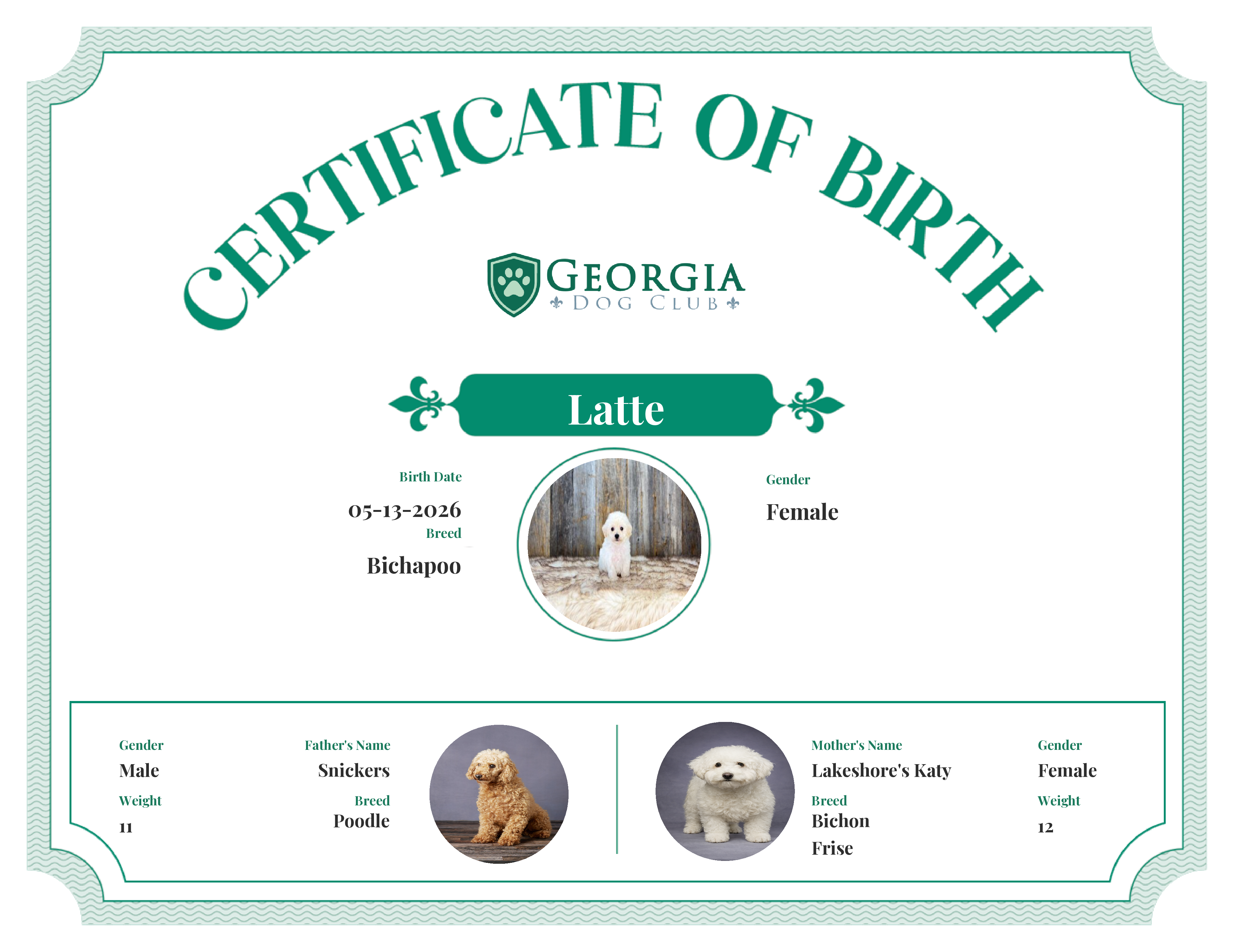 Latte's Birth Certificate