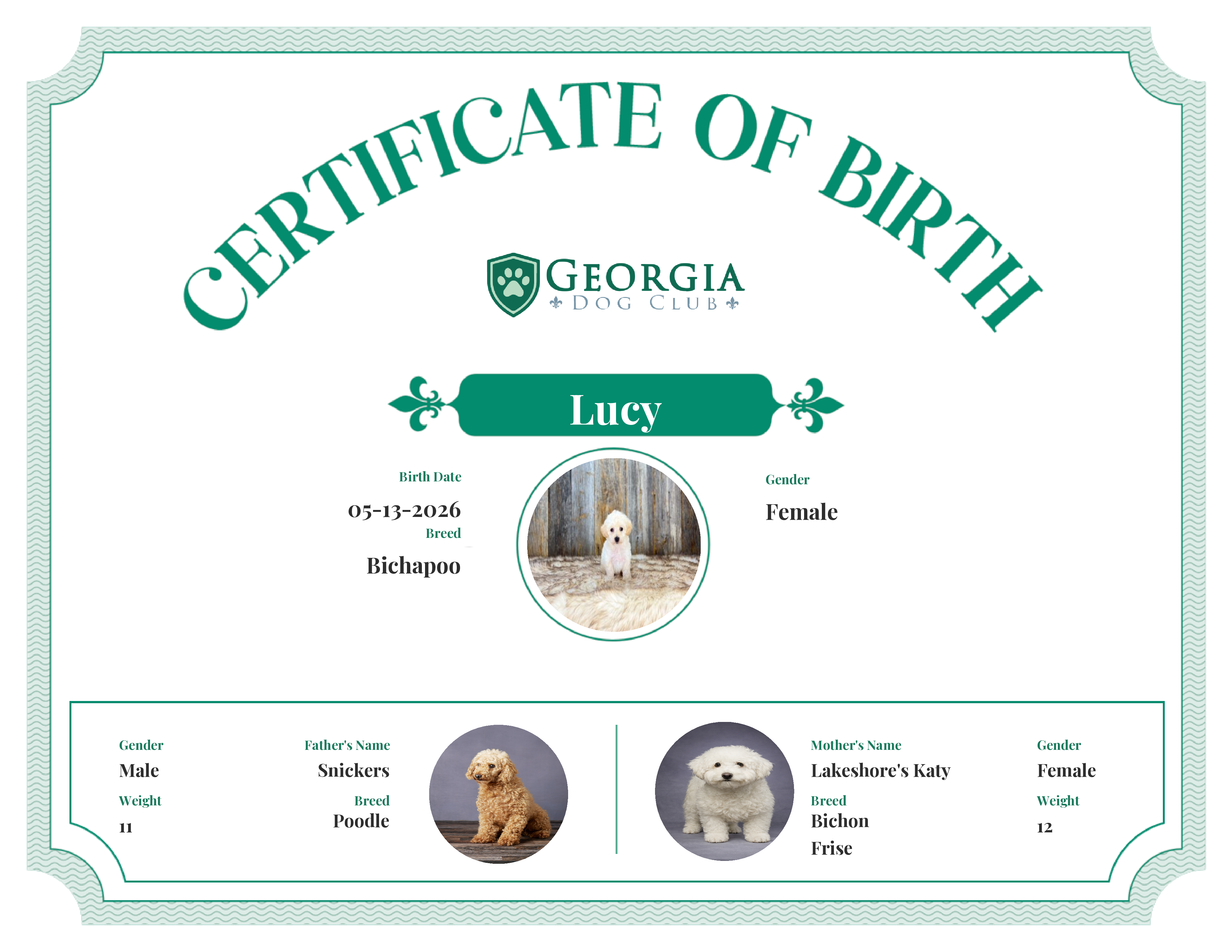 Lucy's Birth Certificate