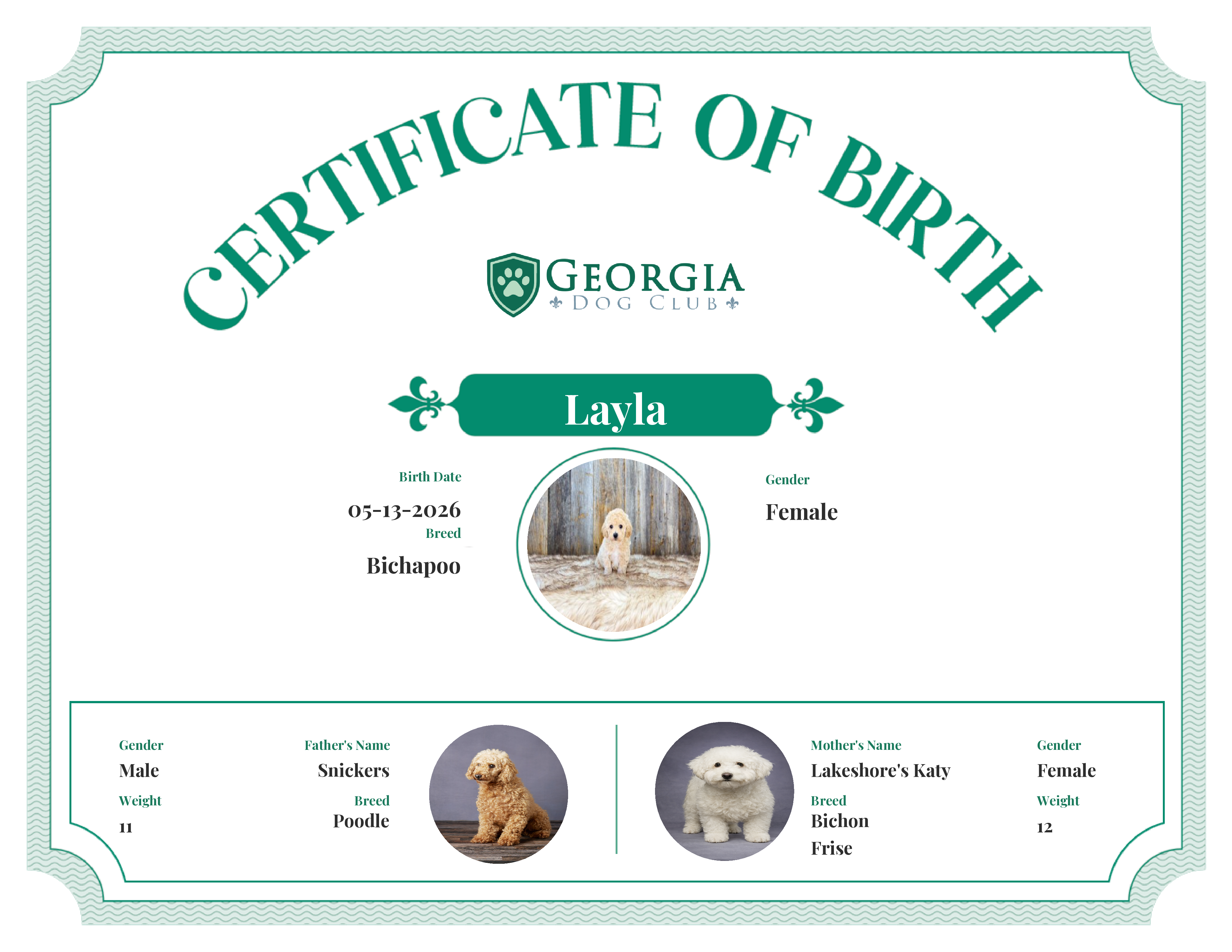 Layla's Birth Certificate