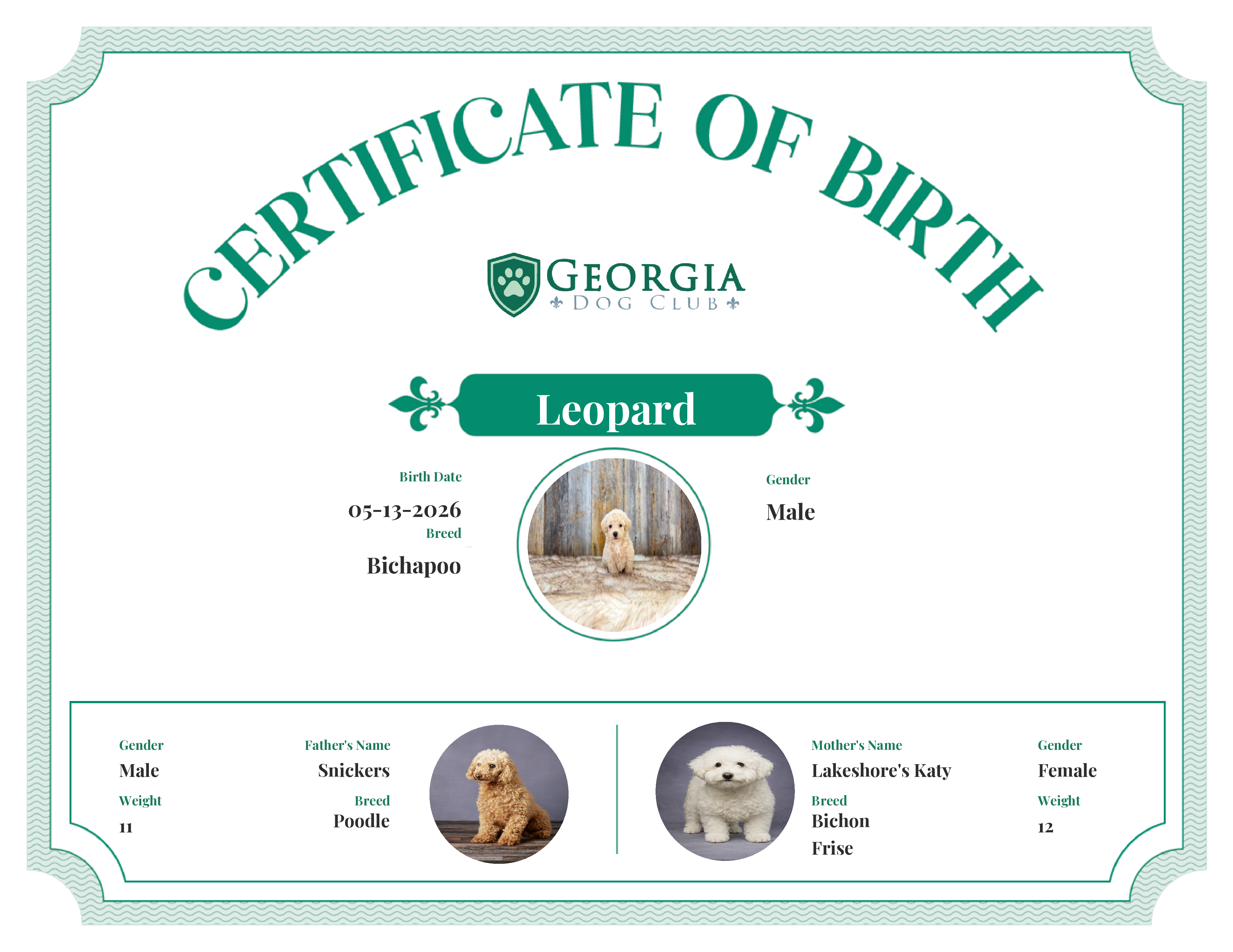 Leopard's Birth Certificate
