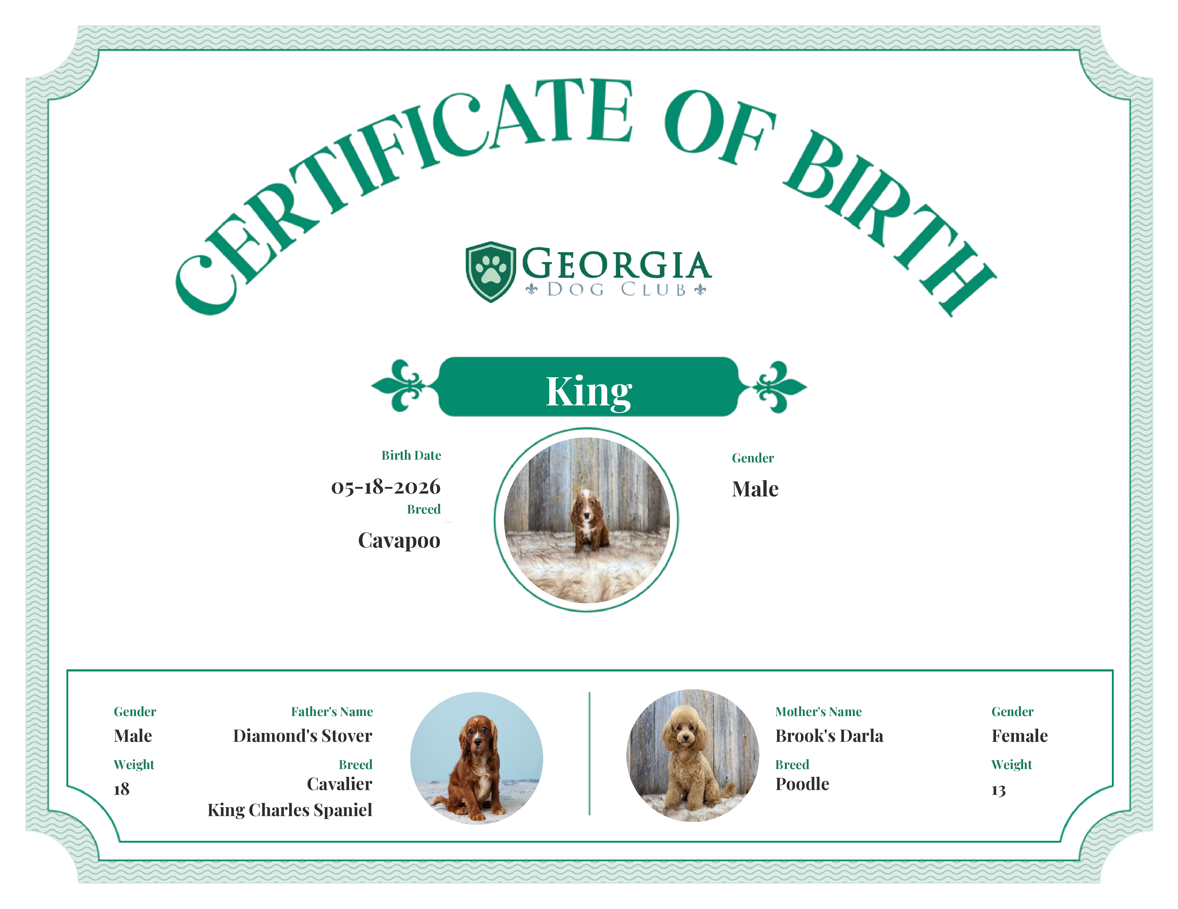 King's Birth Certificate