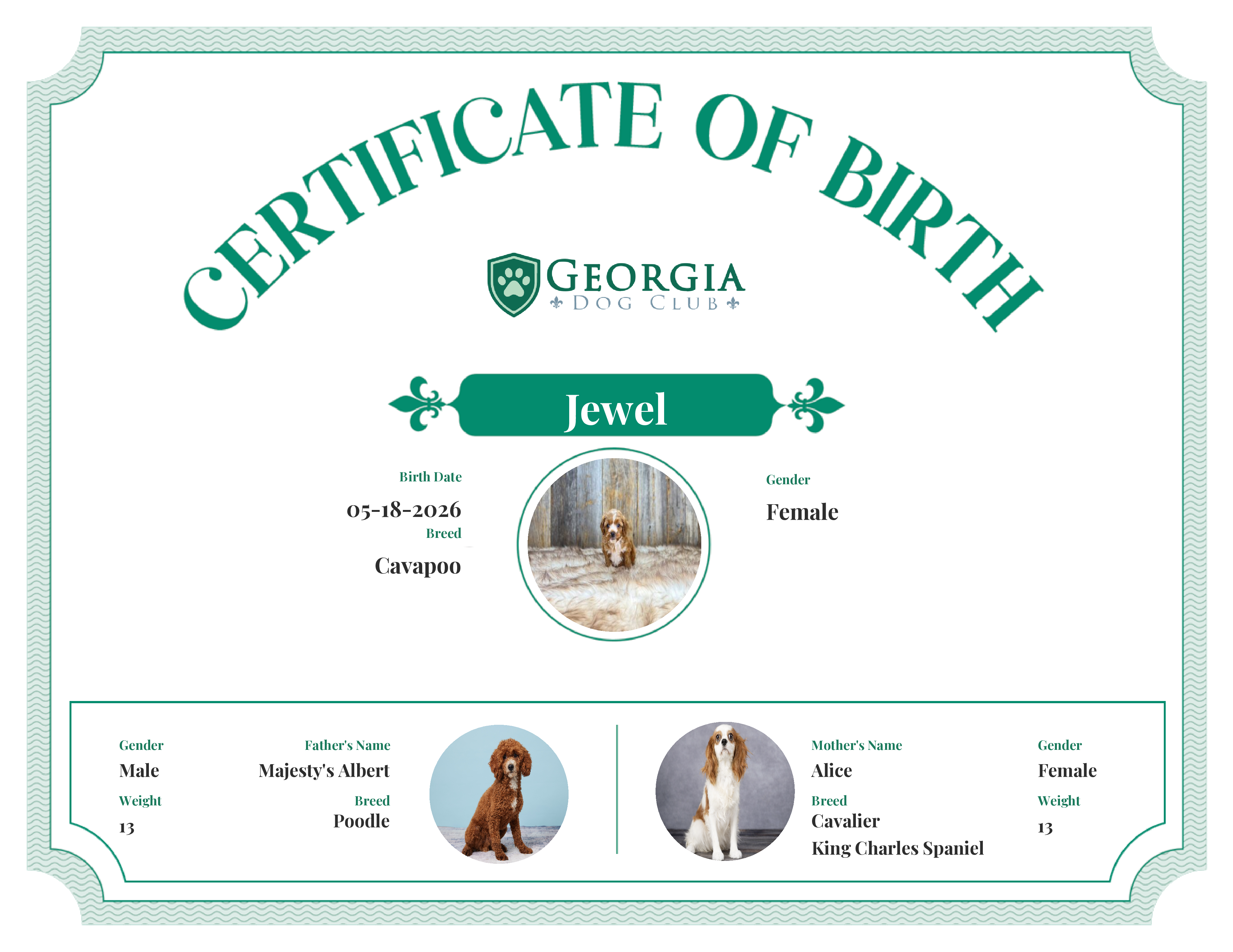 Jewel's Birth Certificate