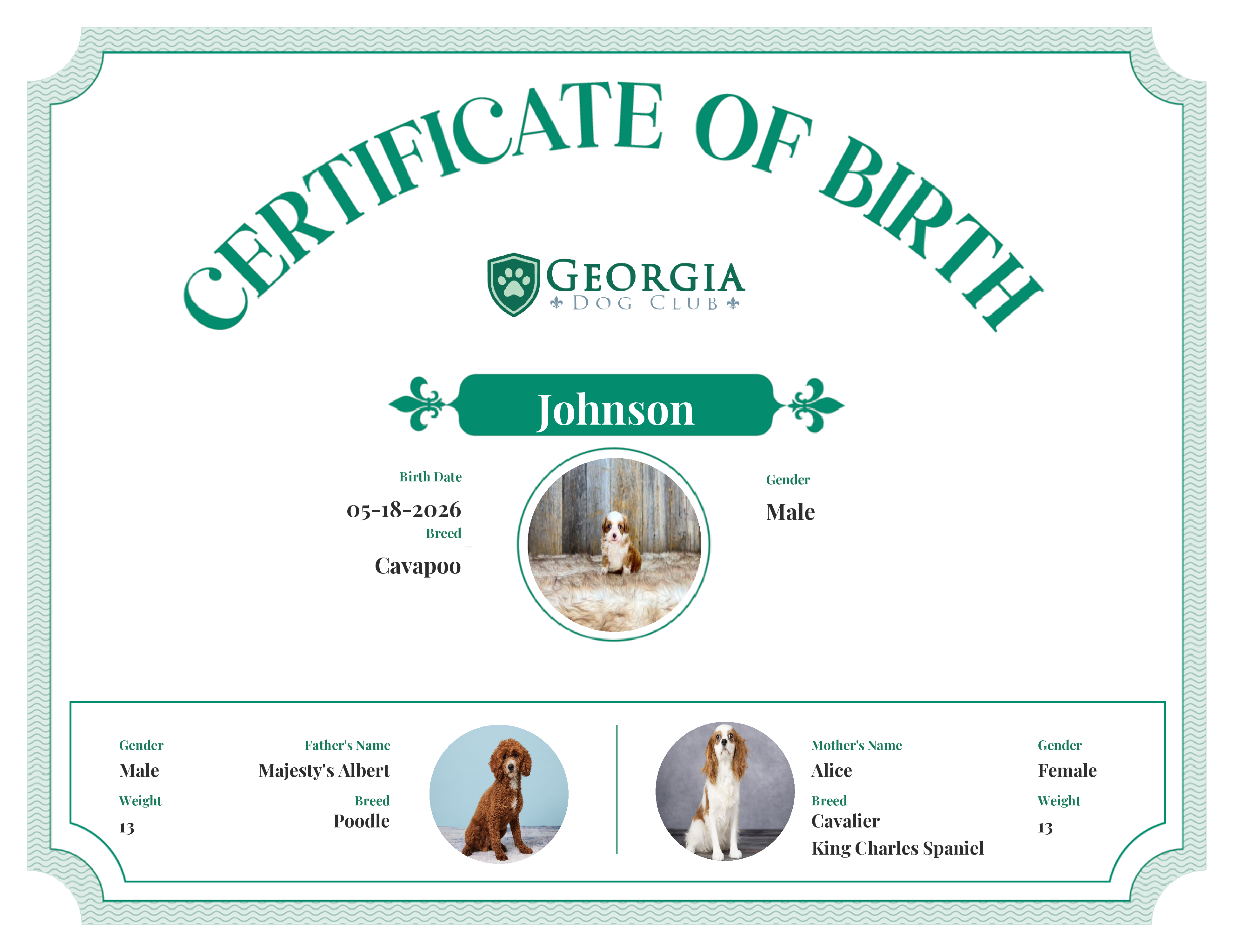 Johnson's Birth Certificate