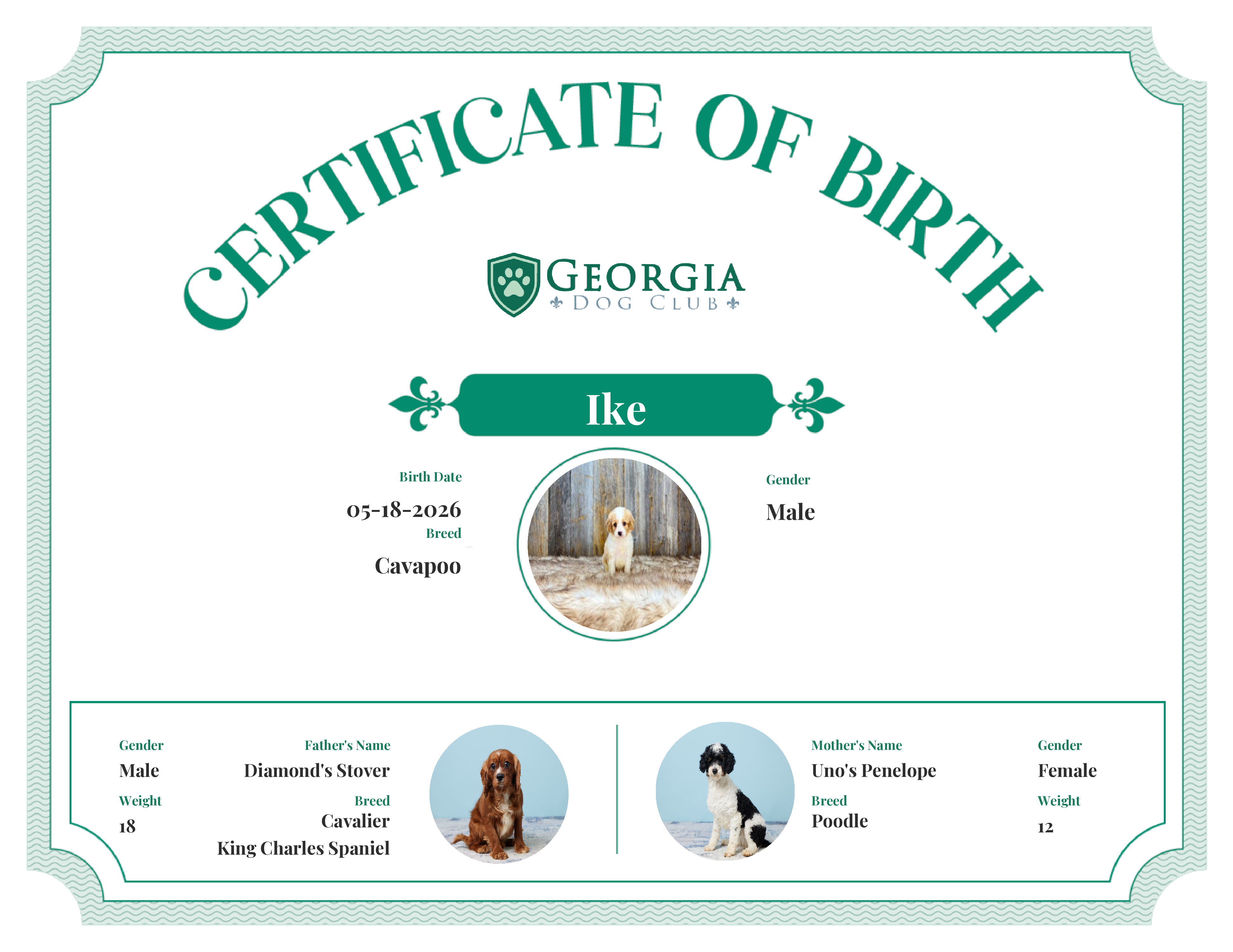Ike's Birth Certificate