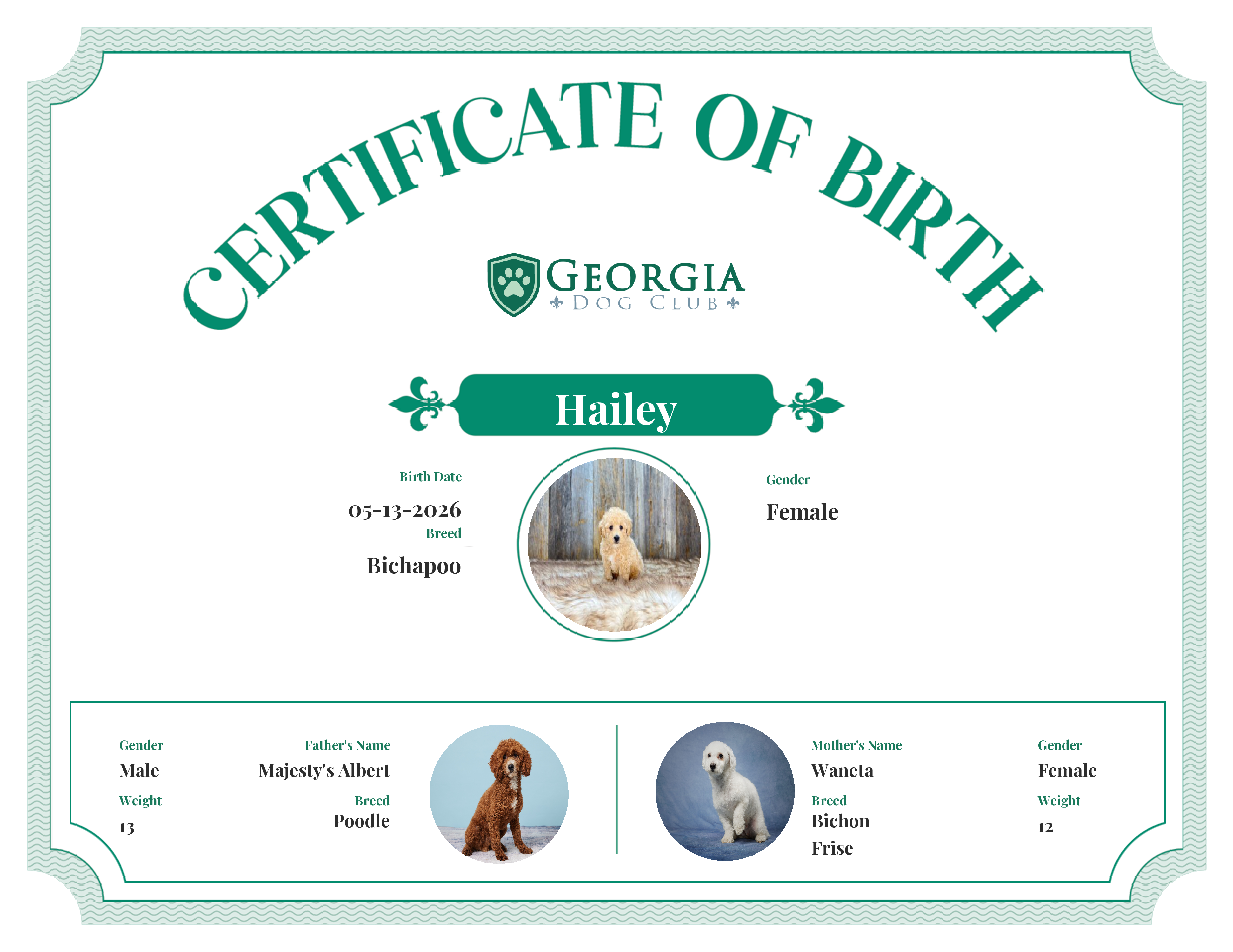 Hailey's Birth Certificate