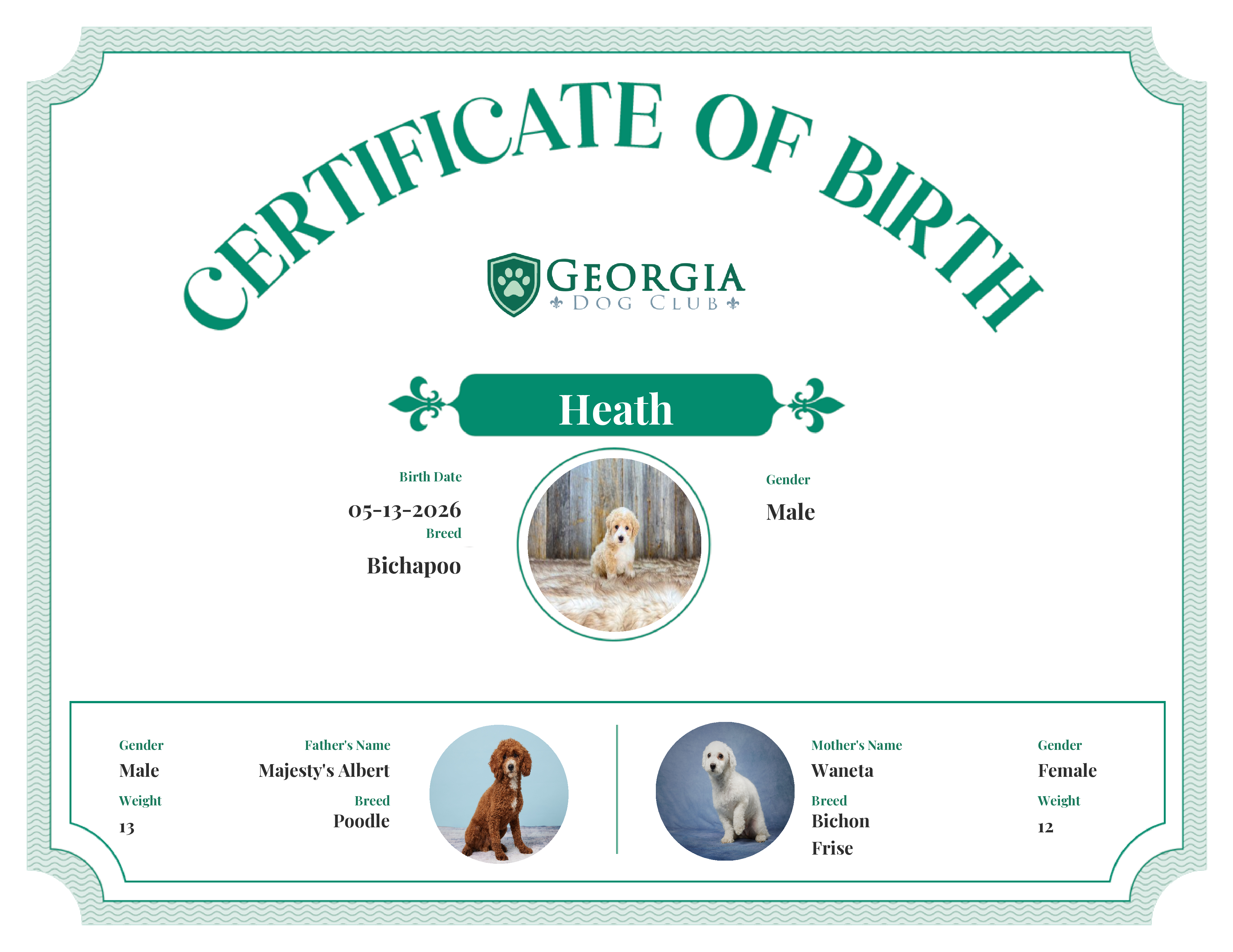 Heath's Birth Certificate