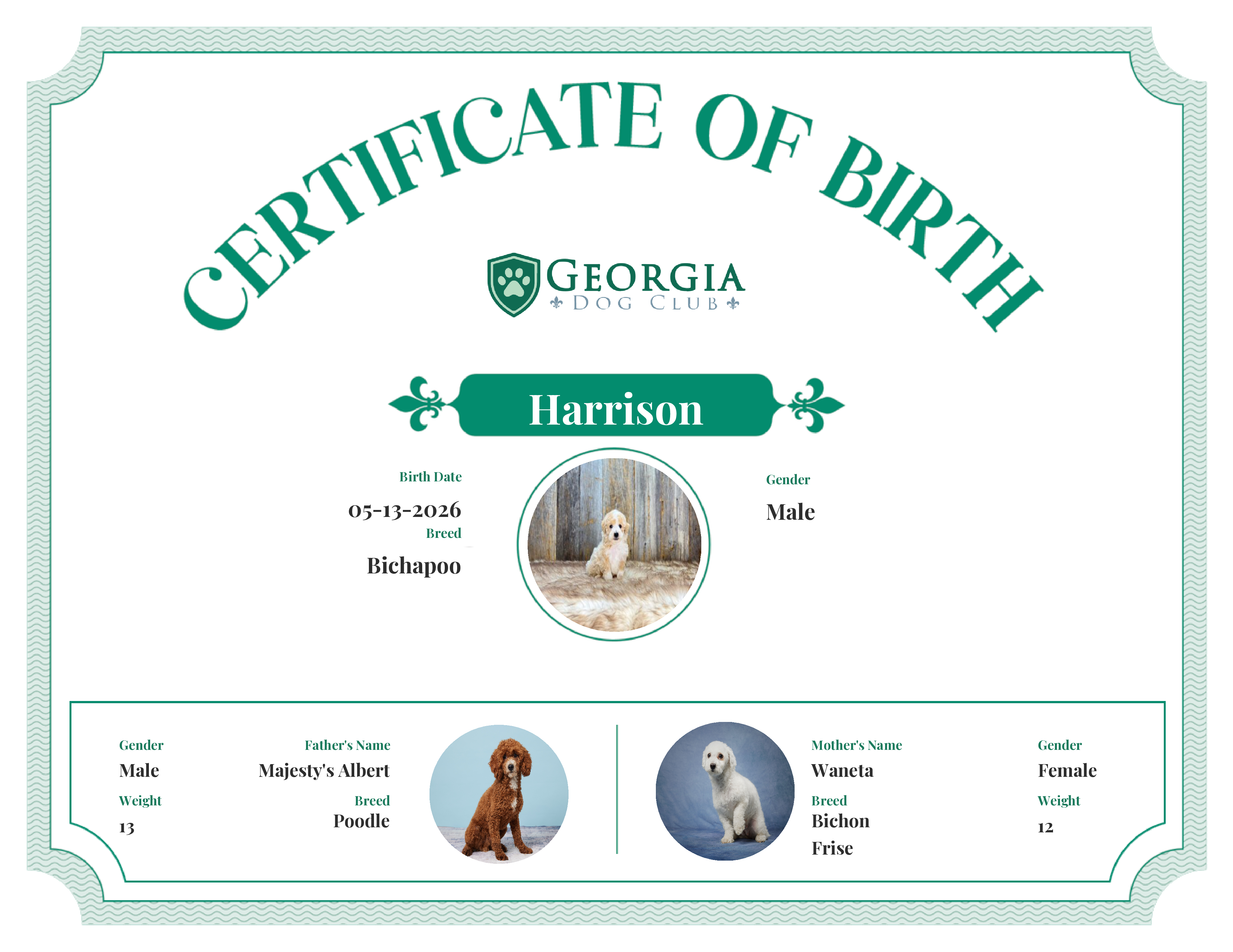 Harrison's Birth Certificate