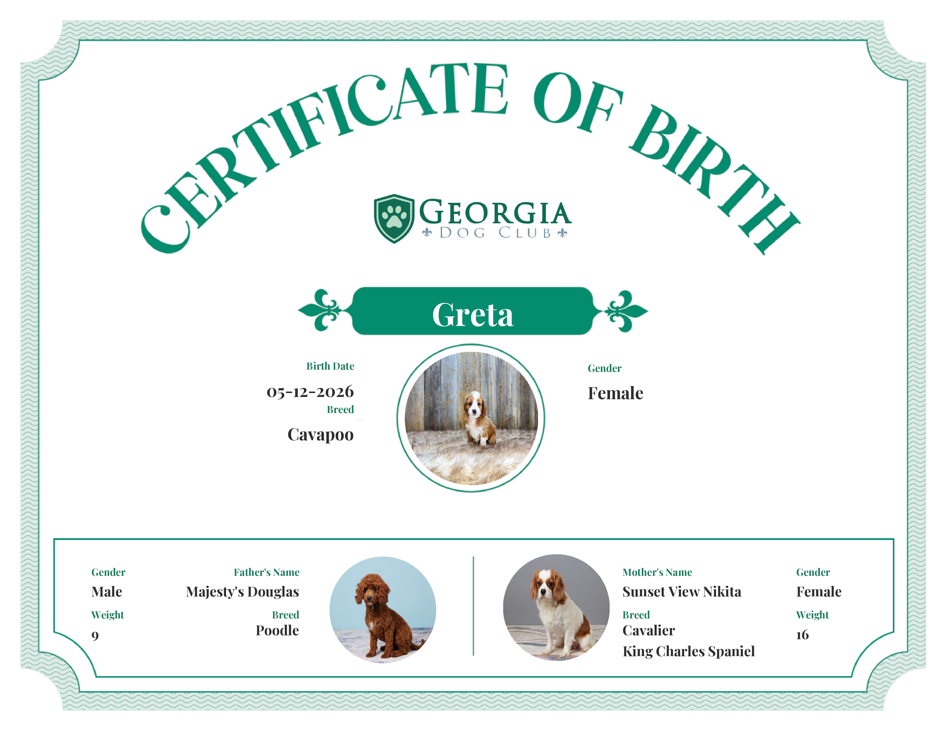 Greta's Birth Certificate