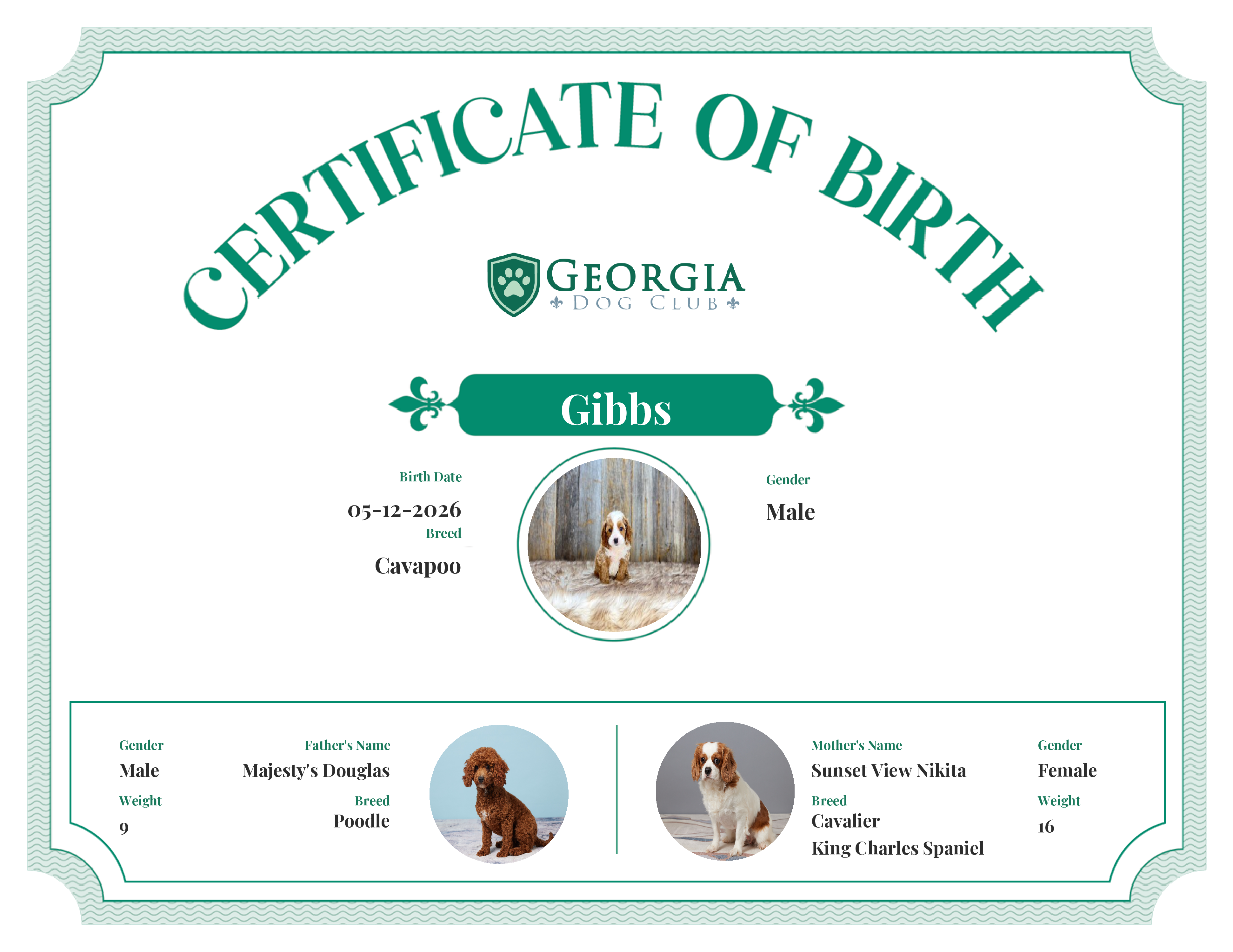Gibbs's Birth Certificate