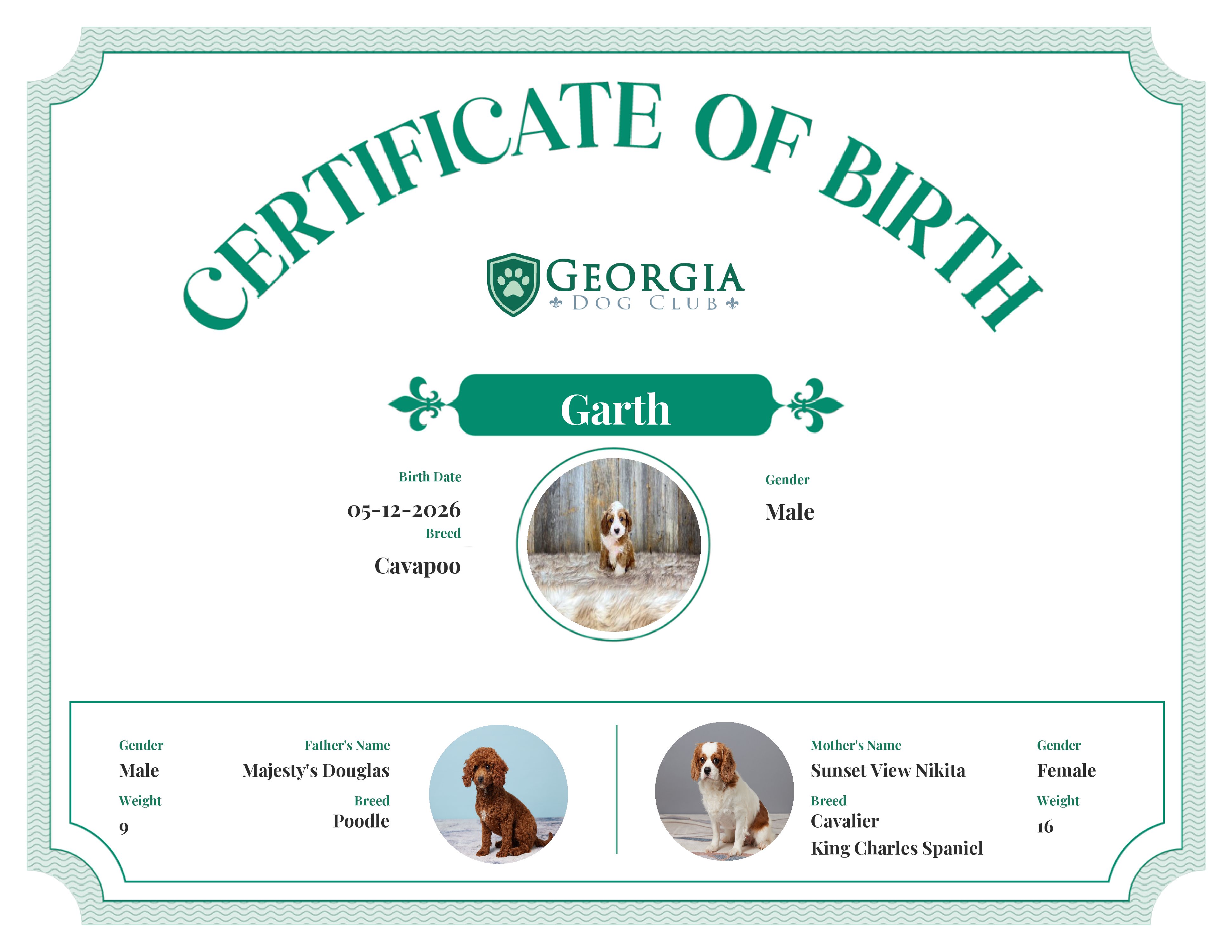 Garth's Birth Certificate