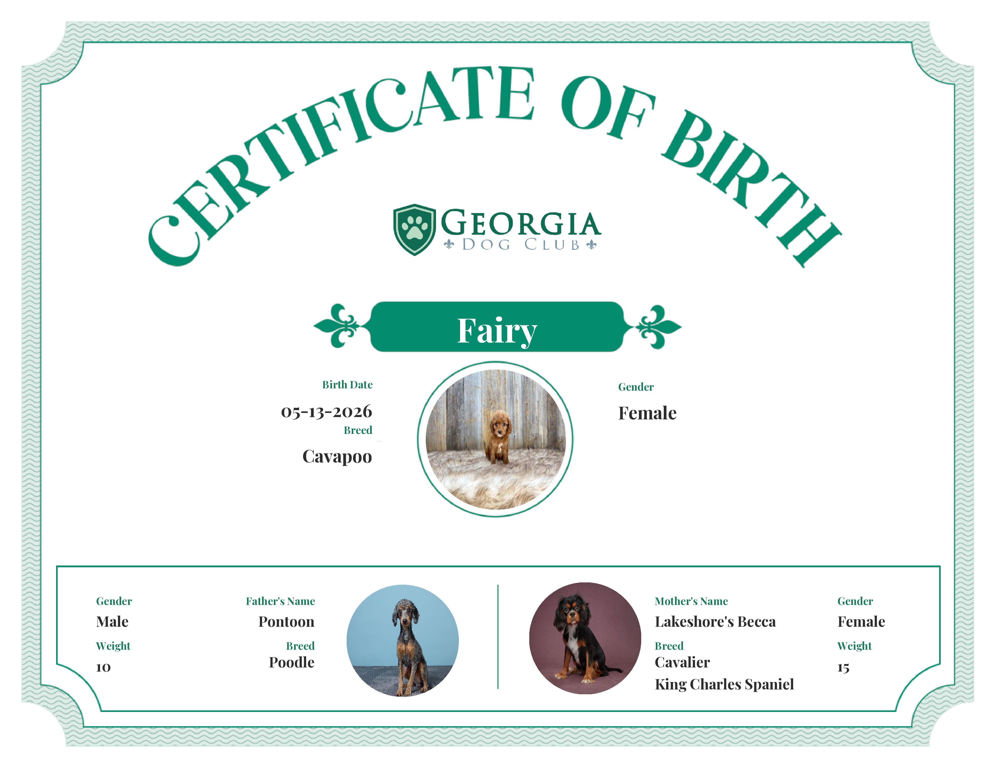 Fairy's Birth Certificate