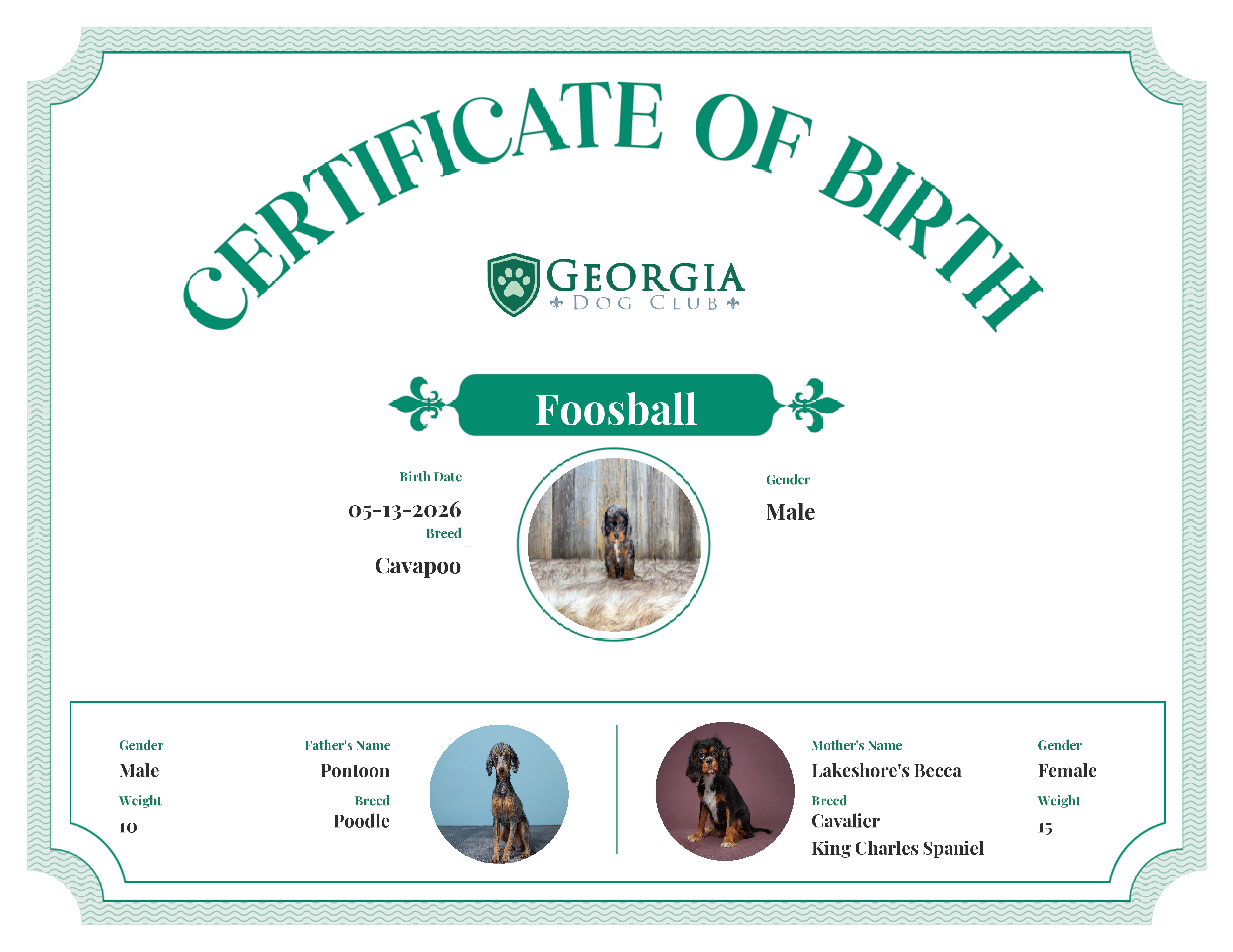 Foosball's Birth Certificate