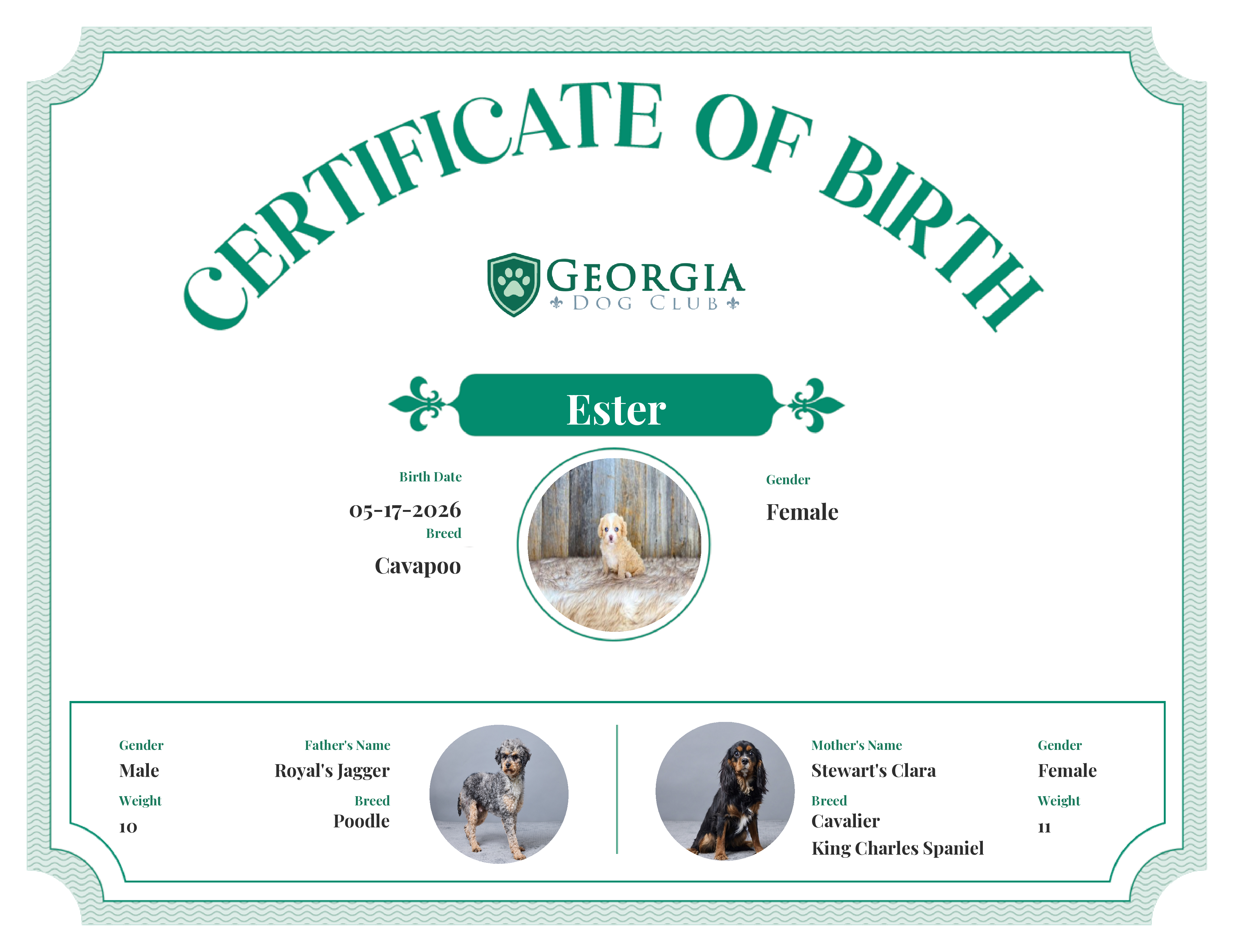 Ester's Birth Certificate