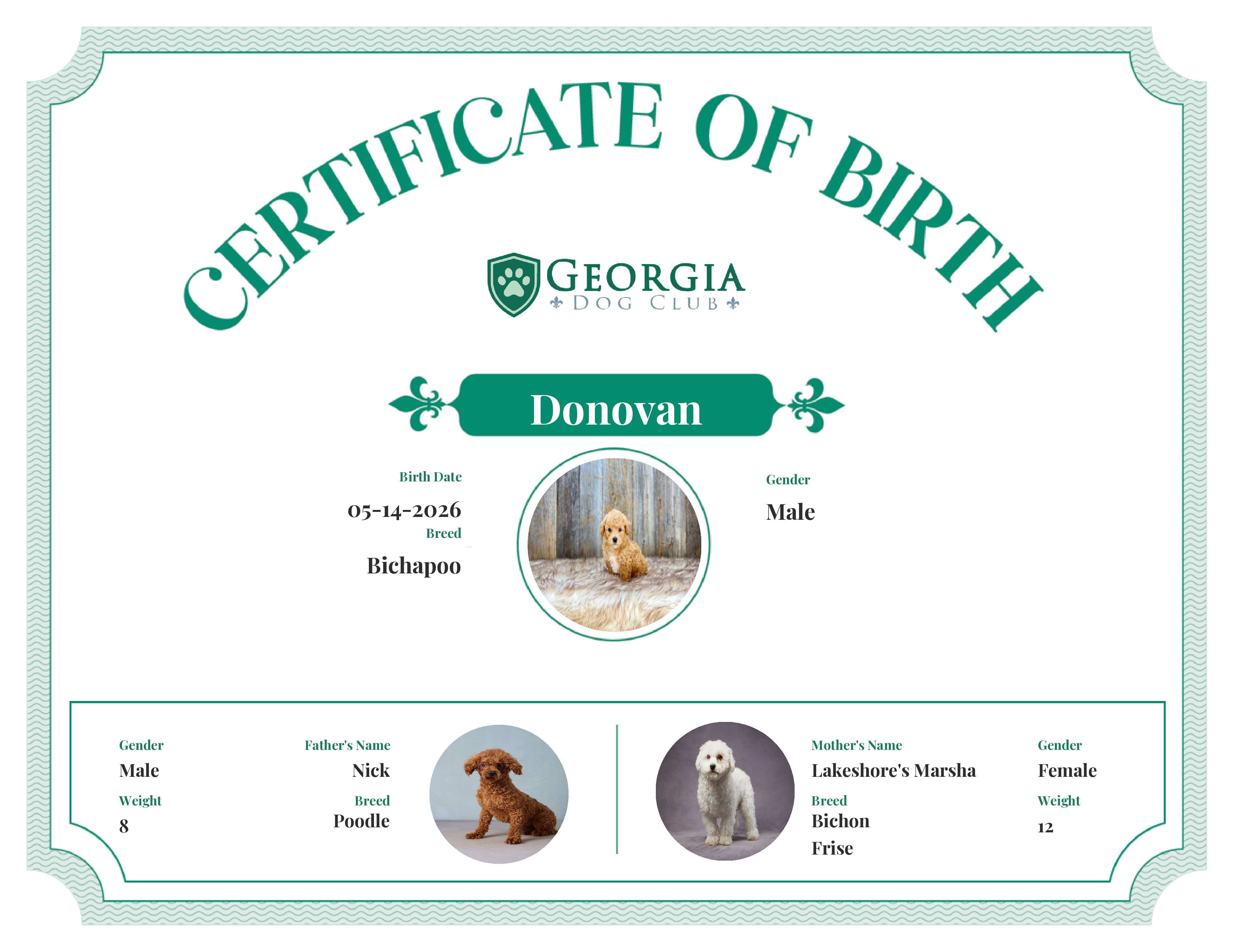 Donovan's Birth Certificate