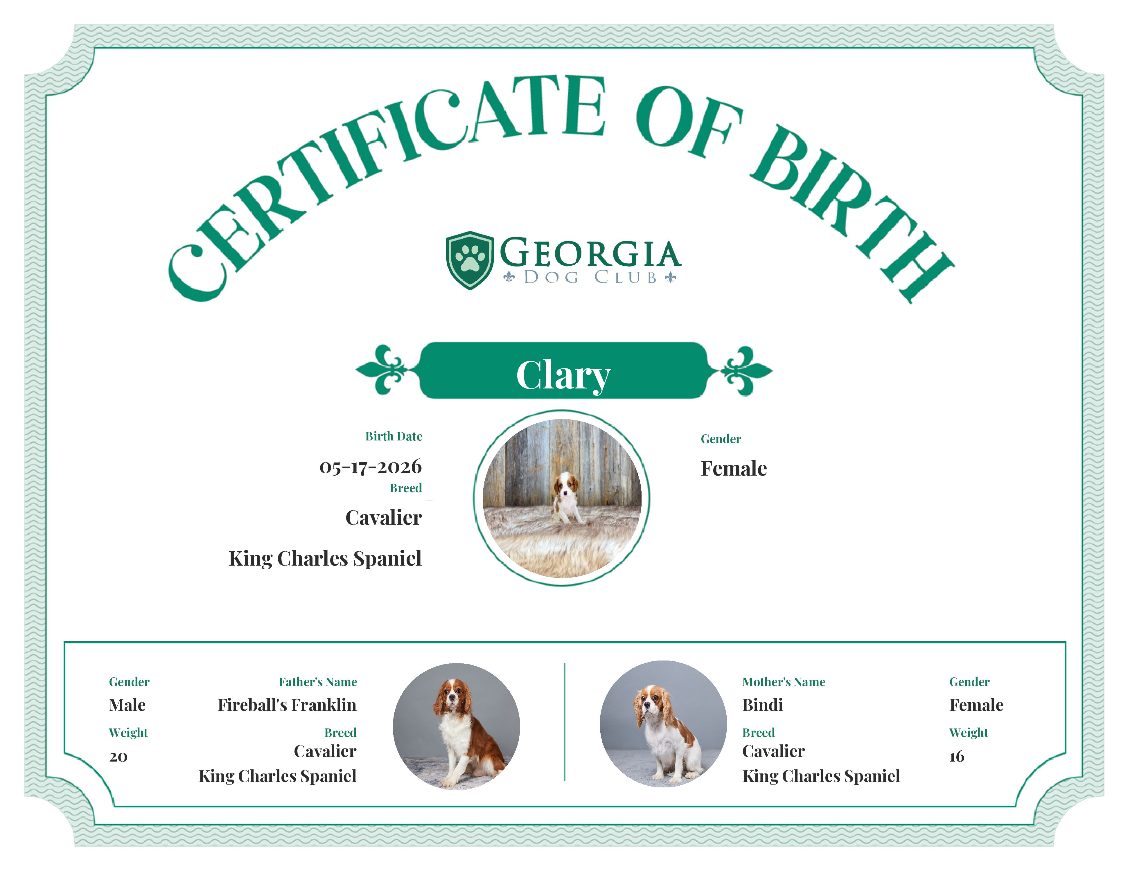 Clary's Birth Certificate