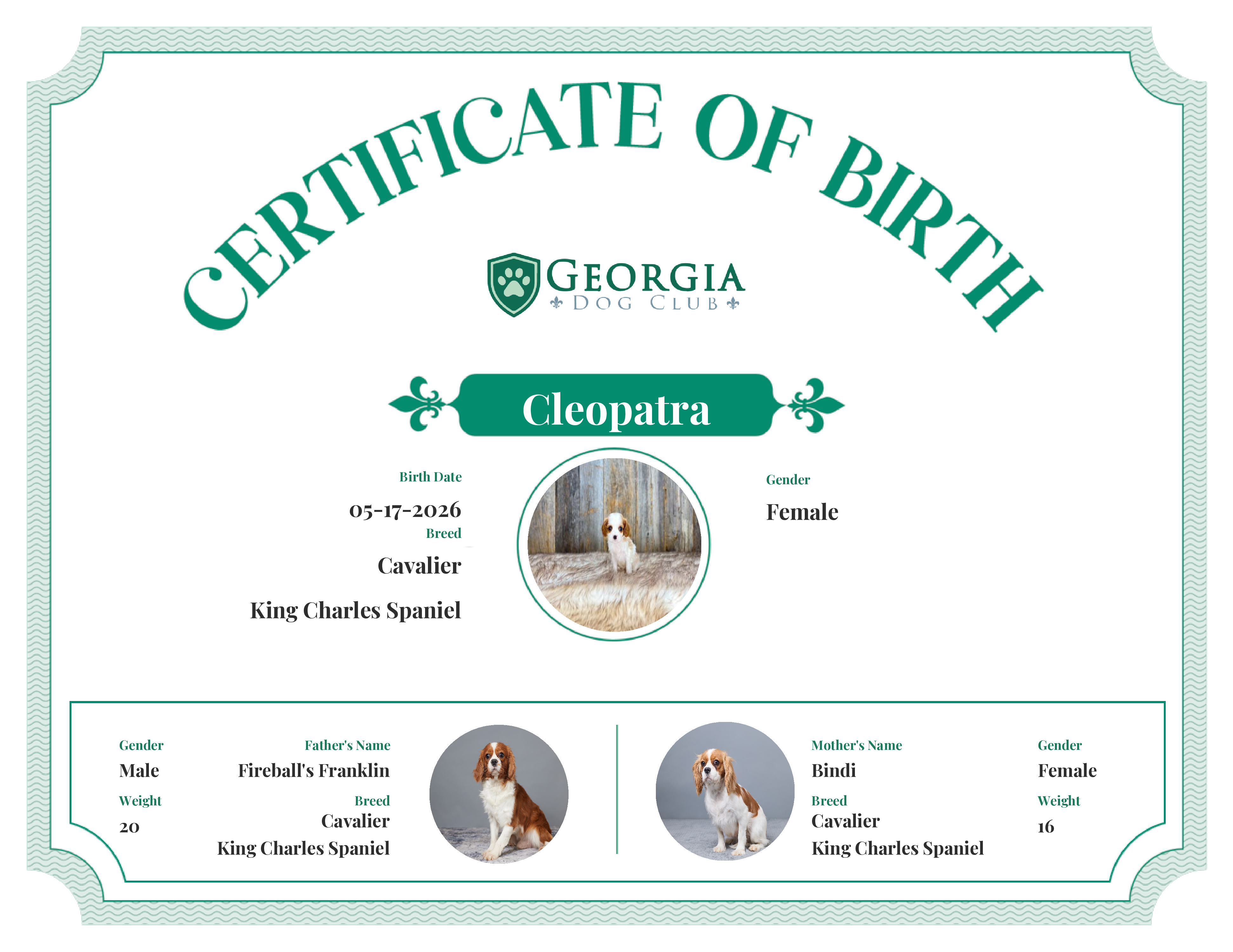 Cleopatra's Birth Certificate