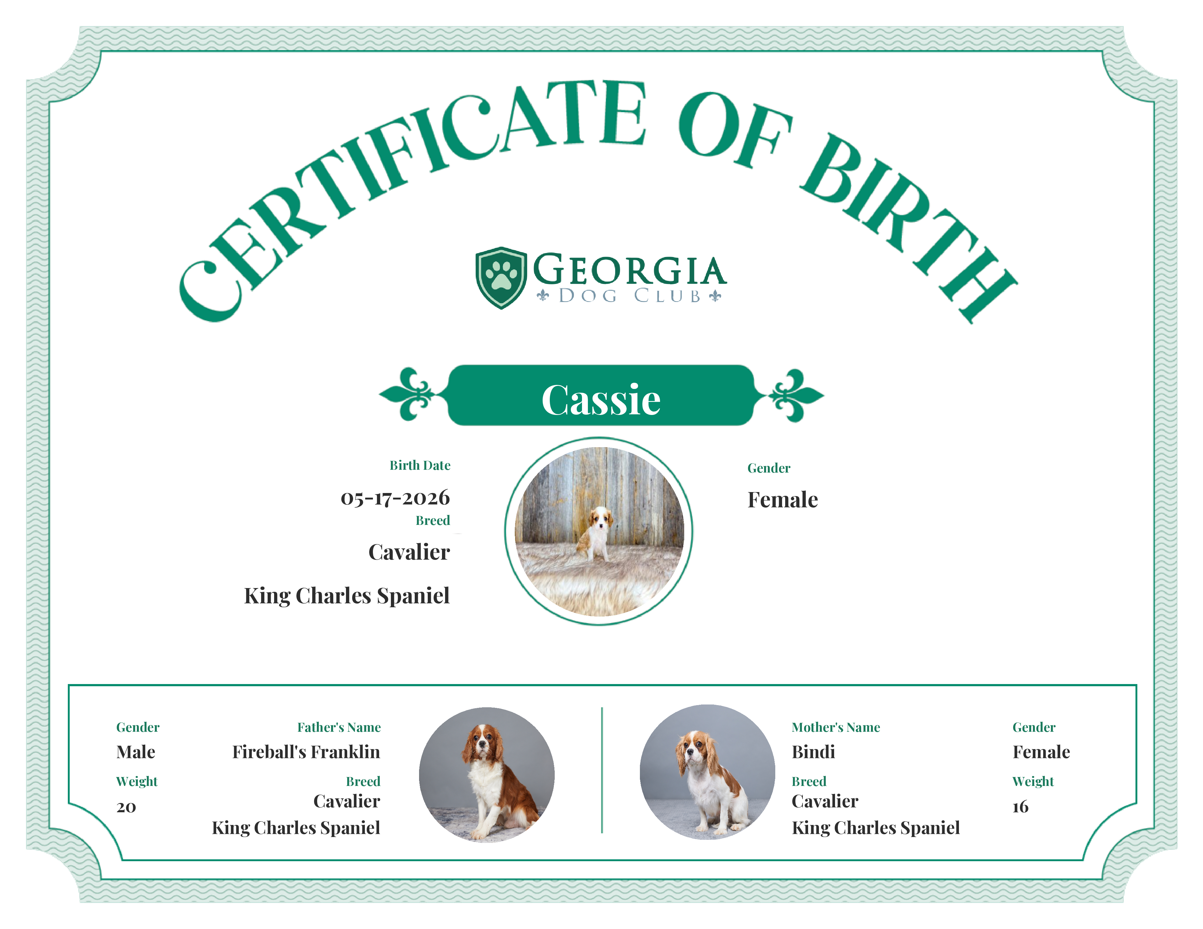 Cassie's Birth Certificate